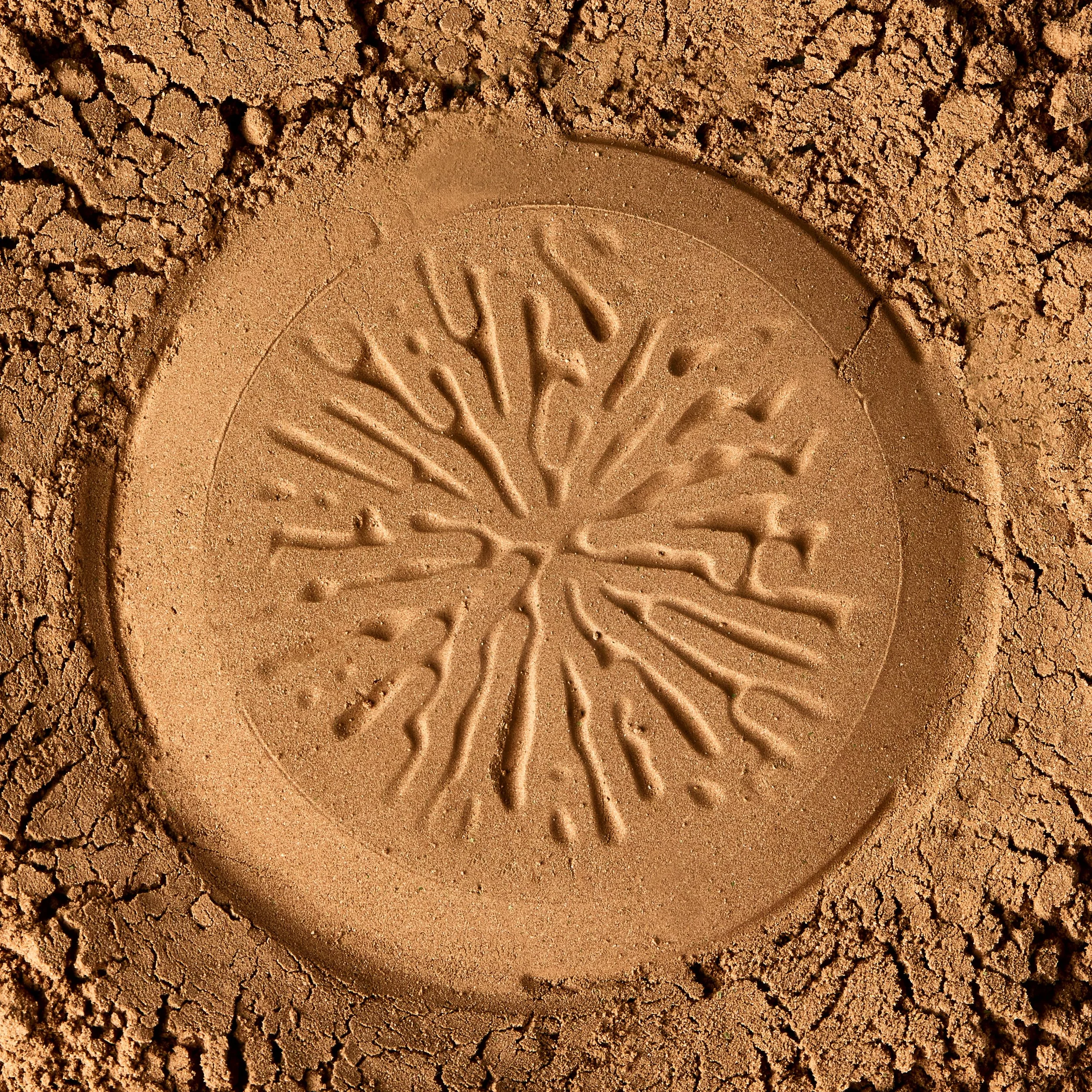 Product photography swatch of mushroom powder for Dirtea