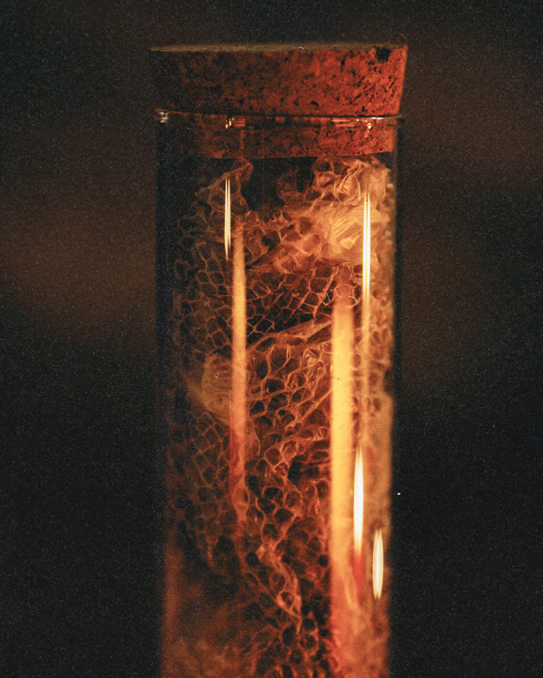 Saecred Sounds Vol.01 | The Shedding Process - 29.png