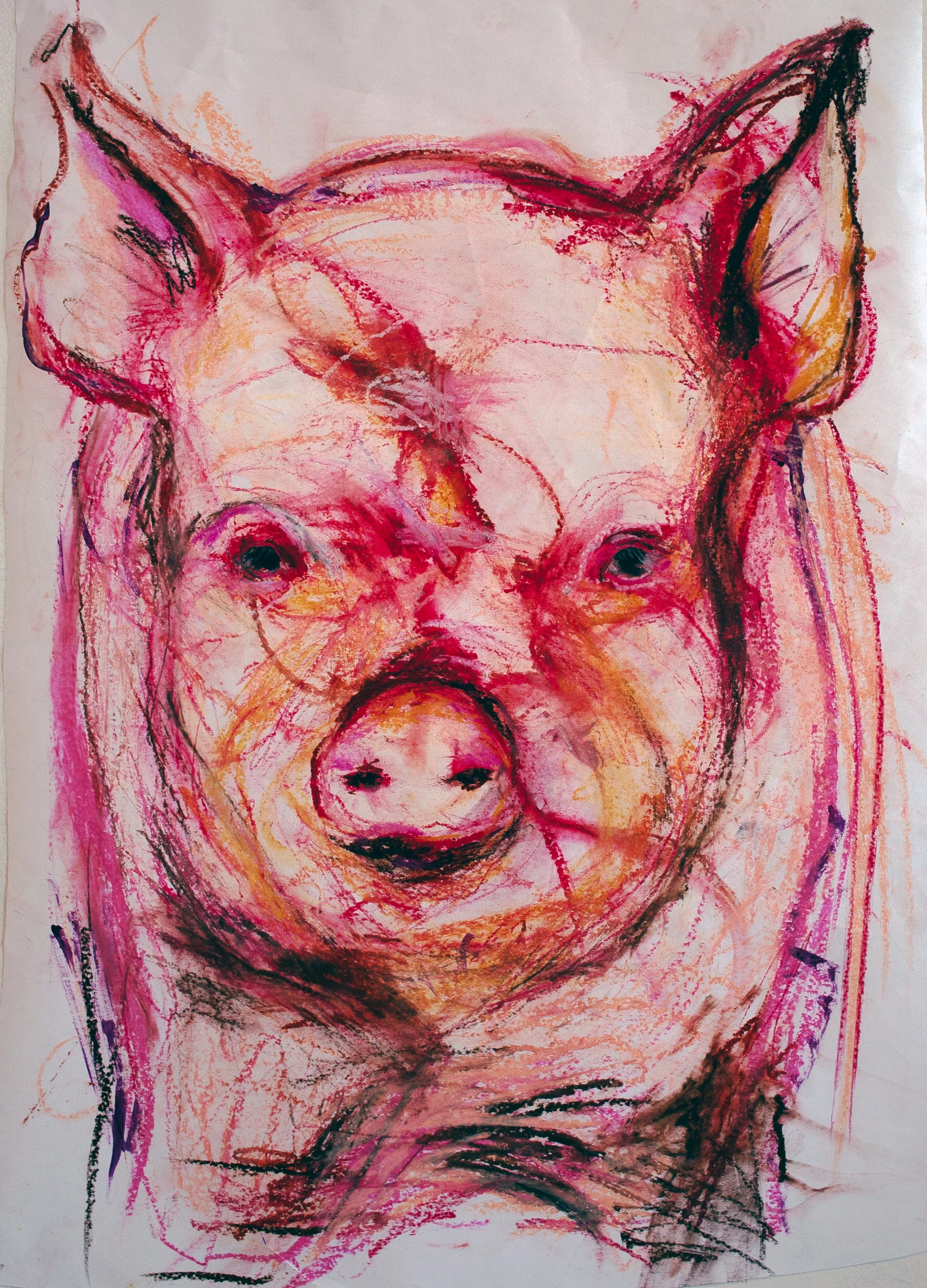 Pigs Have Human Eyes | 24 x 16 Mixed Media on Paper