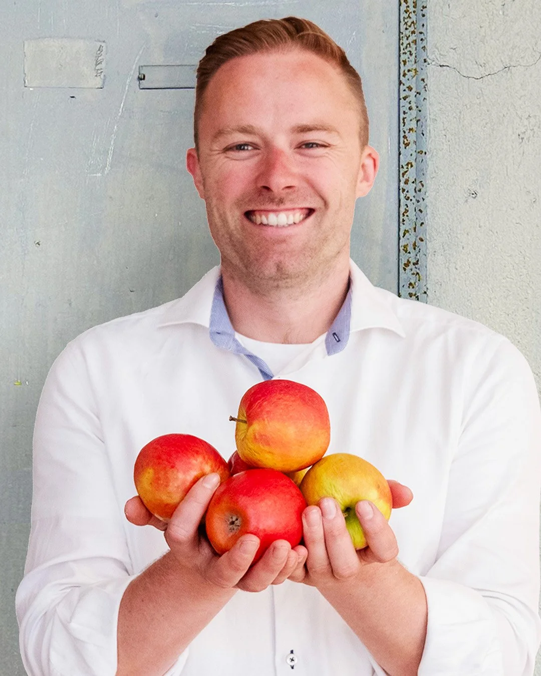 A smiling man in a white shirt holding several ripe apples in front of a gray wall.