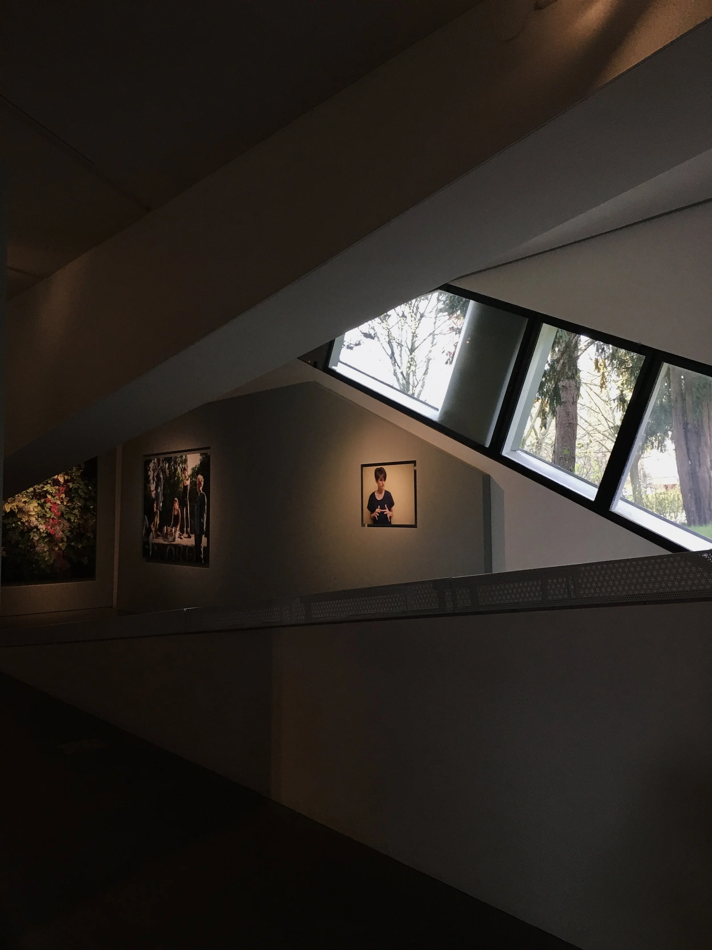 Interior of an art gallery with photographs on the wall and large windows showing trees outside.