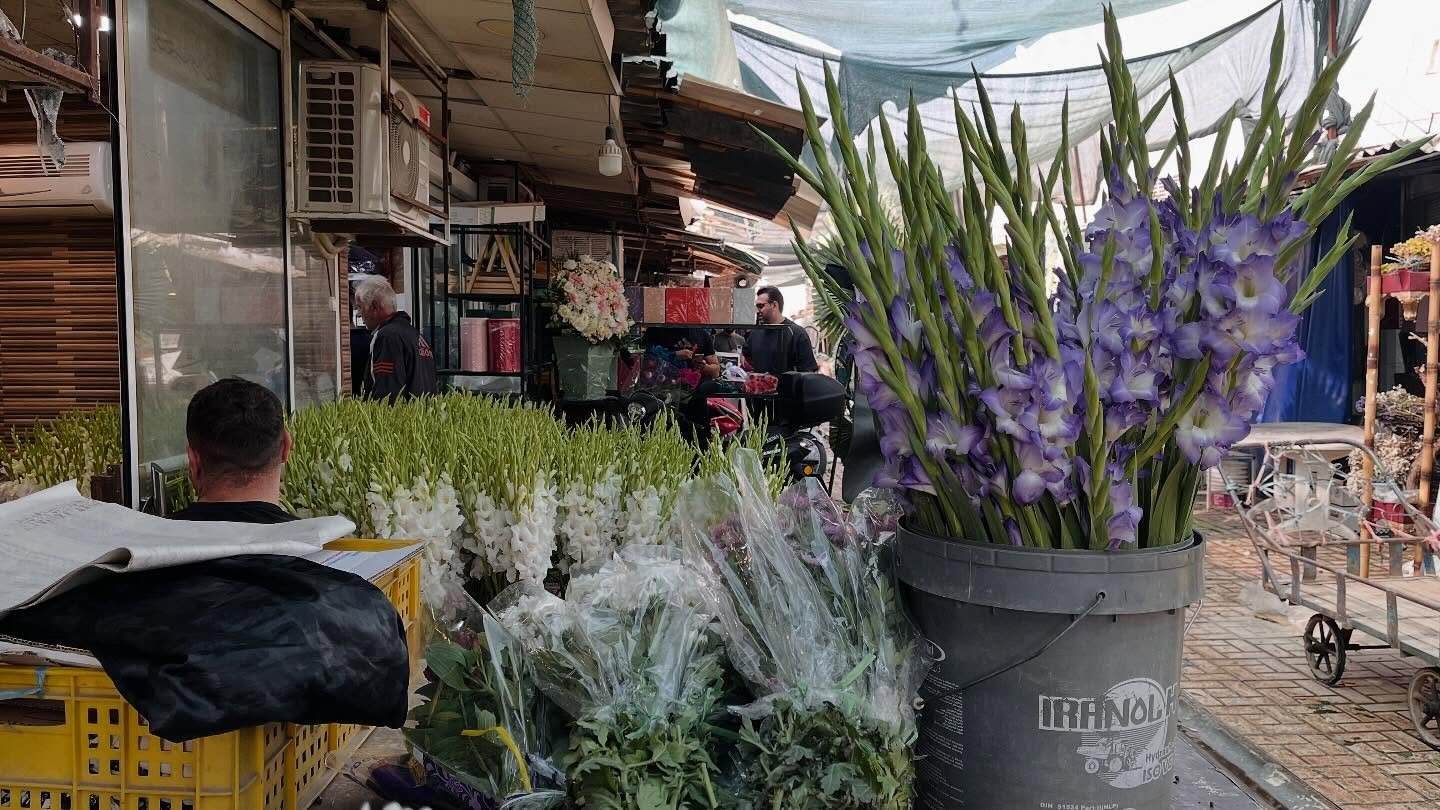 .
Still trying to make sense of this beautiful mess.