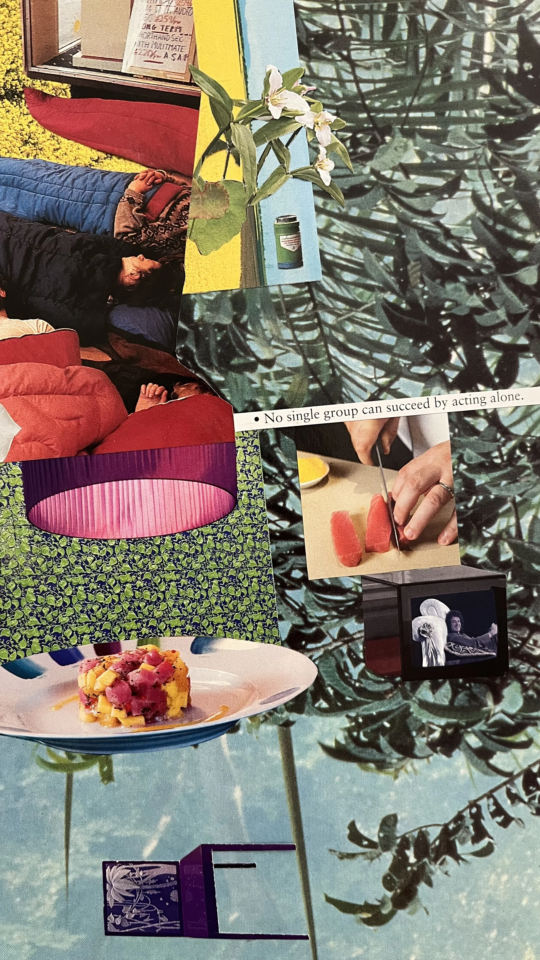 Collage of various images including a woman sleeping on a sofa, a flowering plant, a can of coffee, a person slicing watermelon, a dish of chopped fruit, a purple lampshade, a vending machine, a person talking on a phone, and a background of trees.