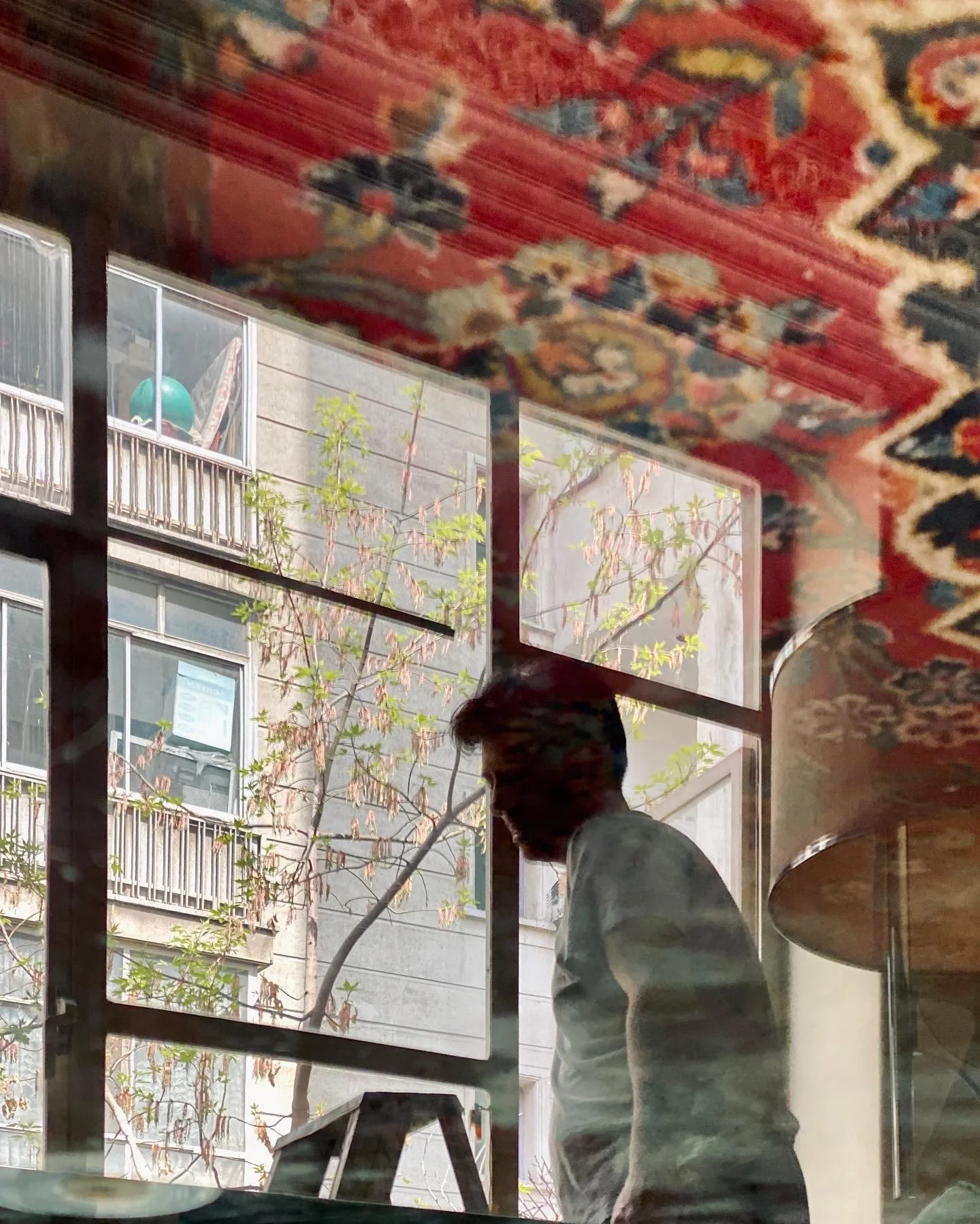 A silhouette of a person with dark hair and light-colored clothing viewed through a window, with a building and trees outside. The photo includes reflections of an ornate patterned rug on the glass.