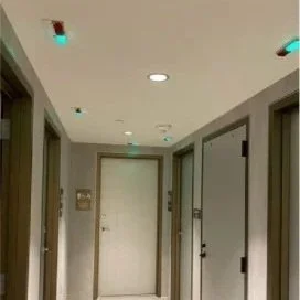 Hallway with multiple closed doors, ceiling lights, and a white ceiling.