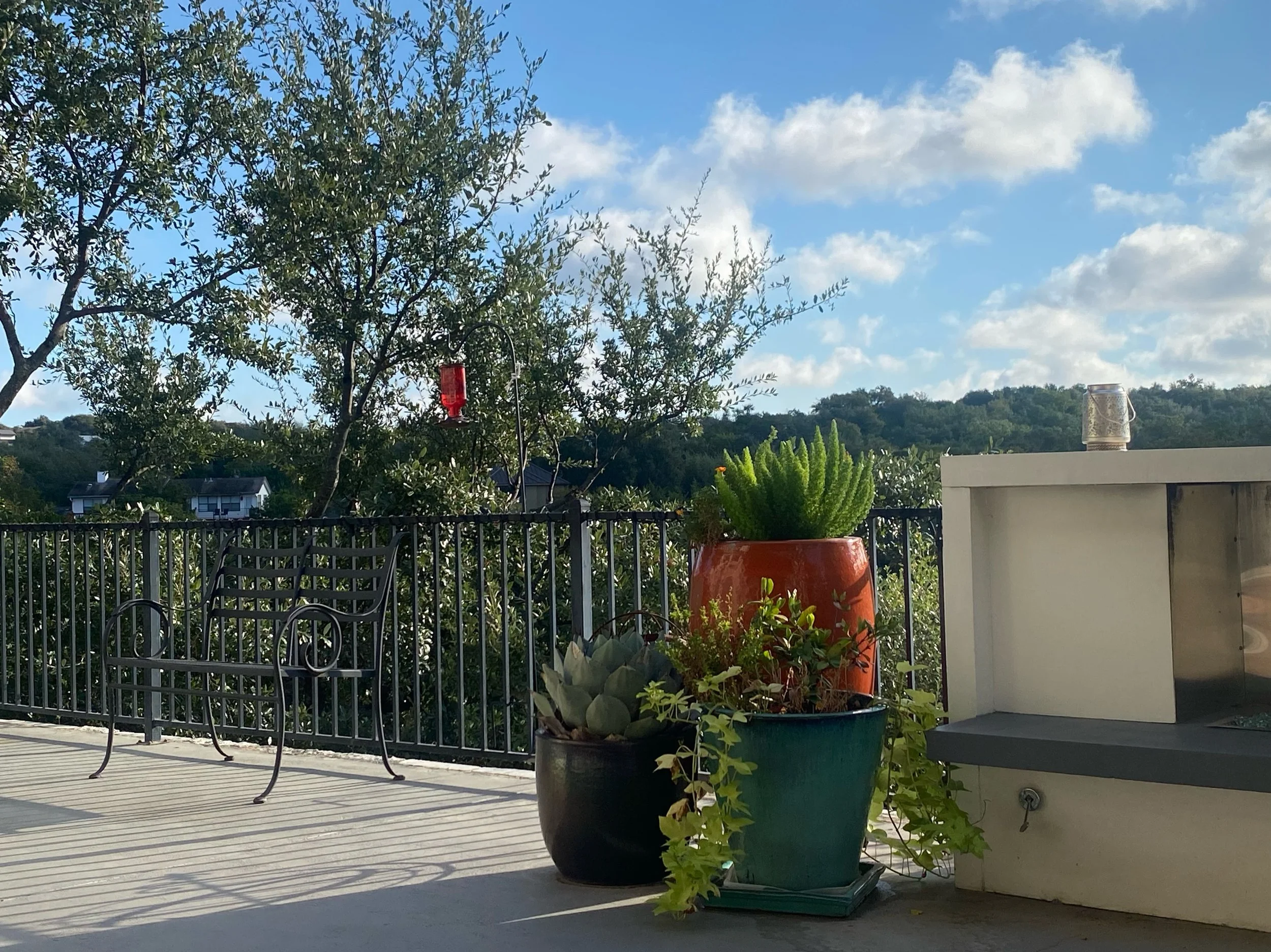 Enjoying the (slightly) cooler morning temps and the last hummingbirds of the season.