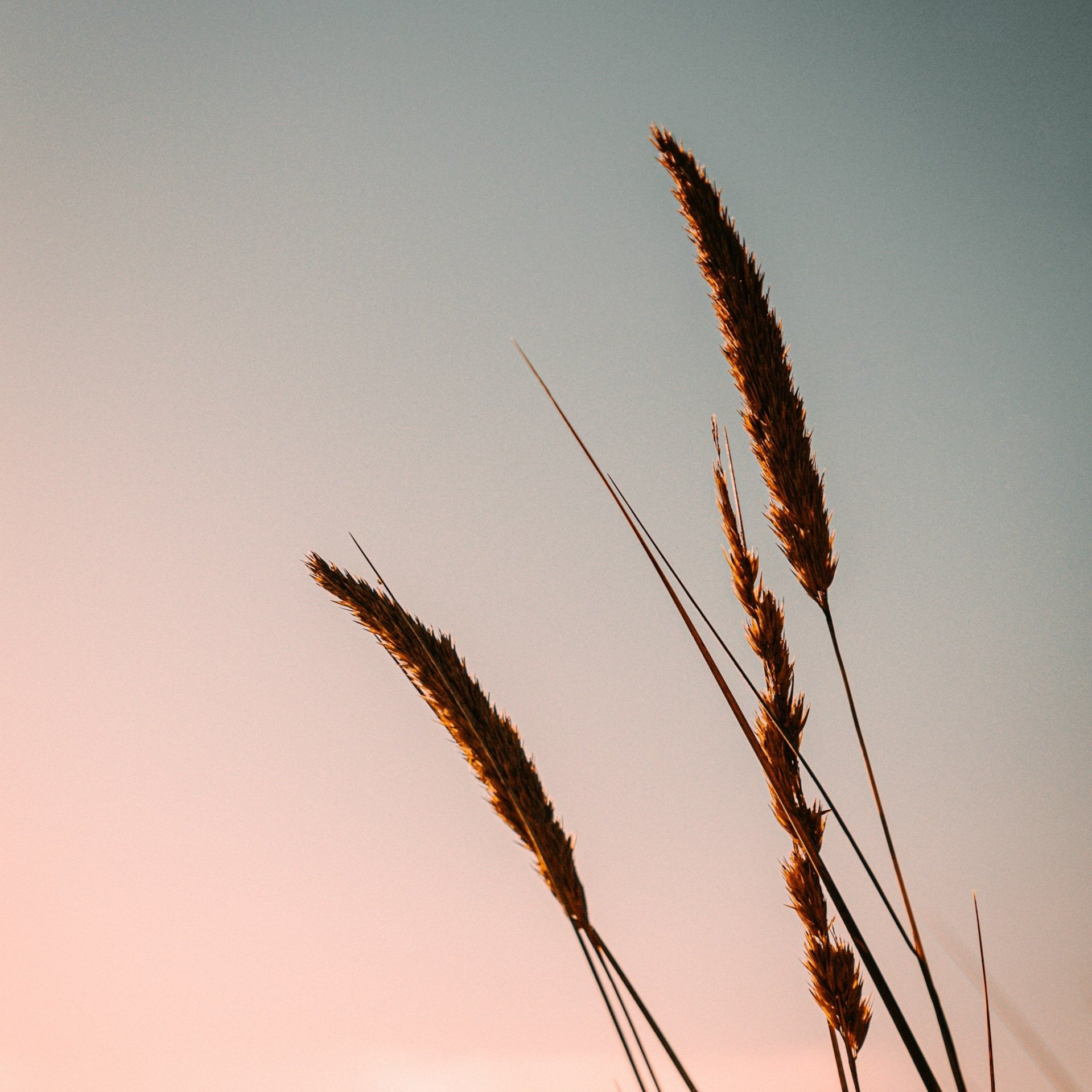 5 Mindfulness Techniques to Reduce Daily Stress