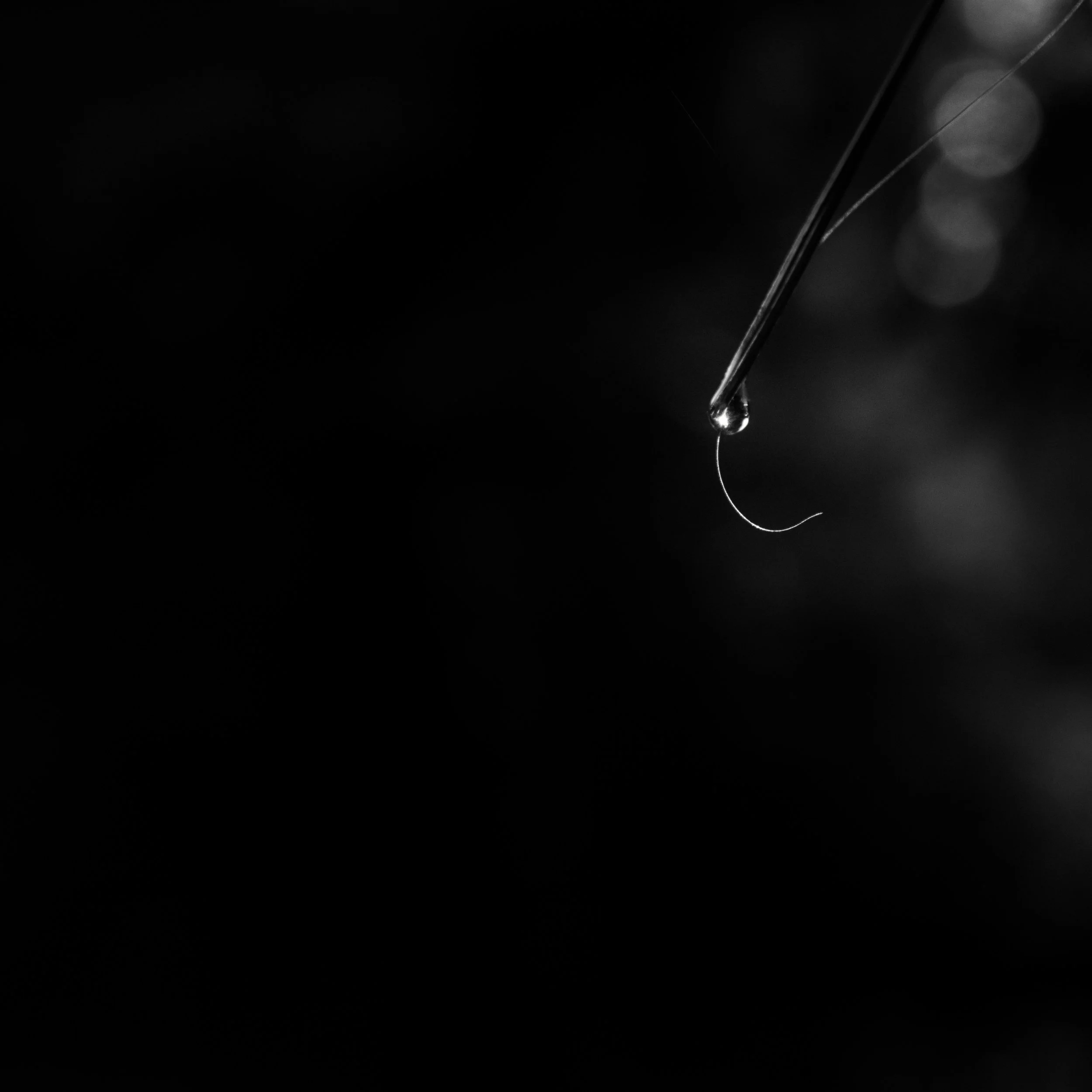 Dramatic black and white macro photo of a single dewdrop hanging from a thin, curved blade of grass.
