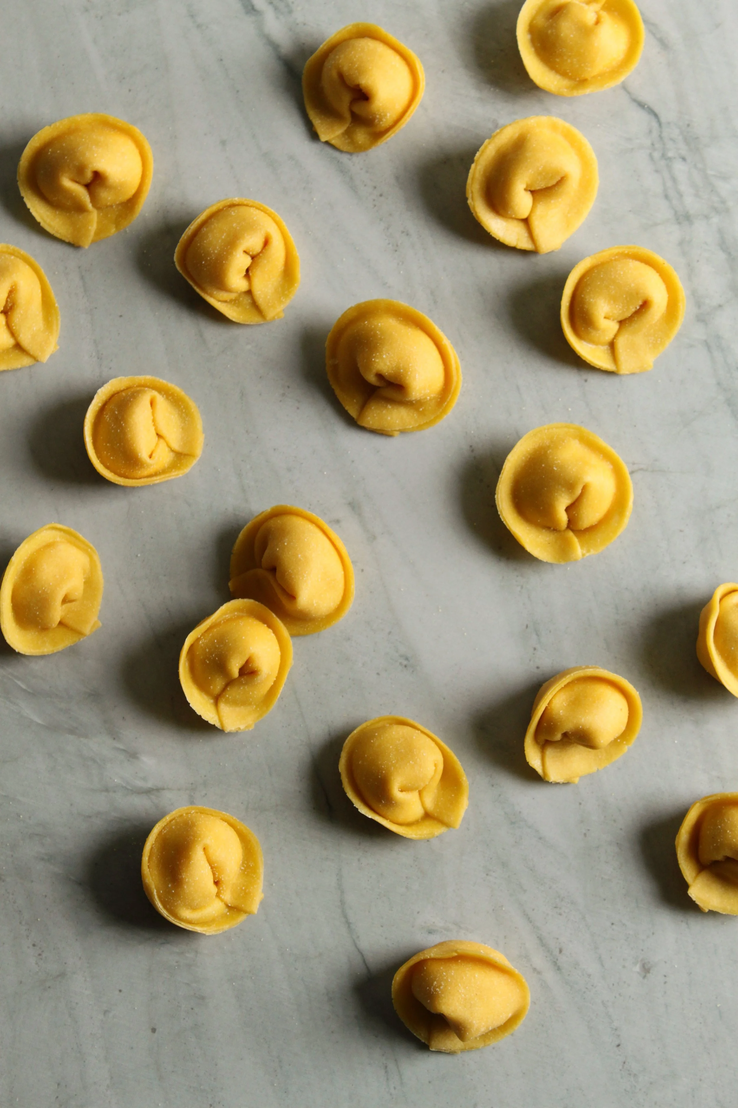 Tortelloni Scattered.jpg