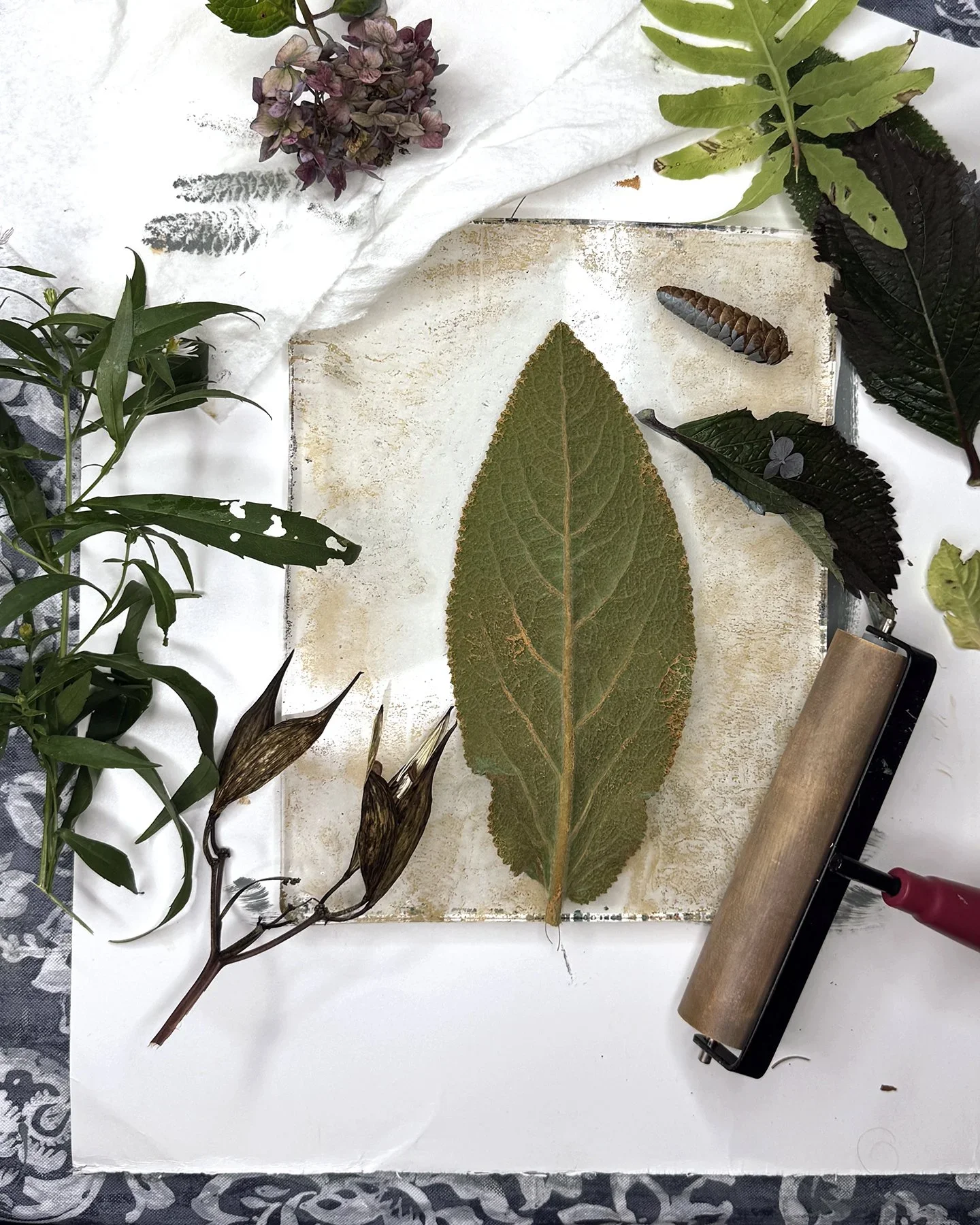 Autumn-Botanicals-ws-05.webp