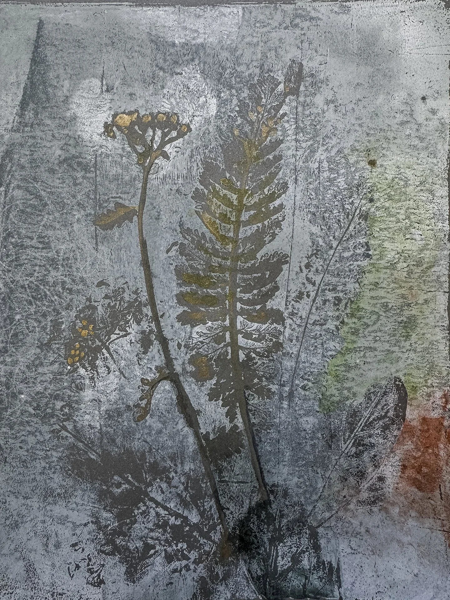 Autumn-Botanicals-ws-11.webp
