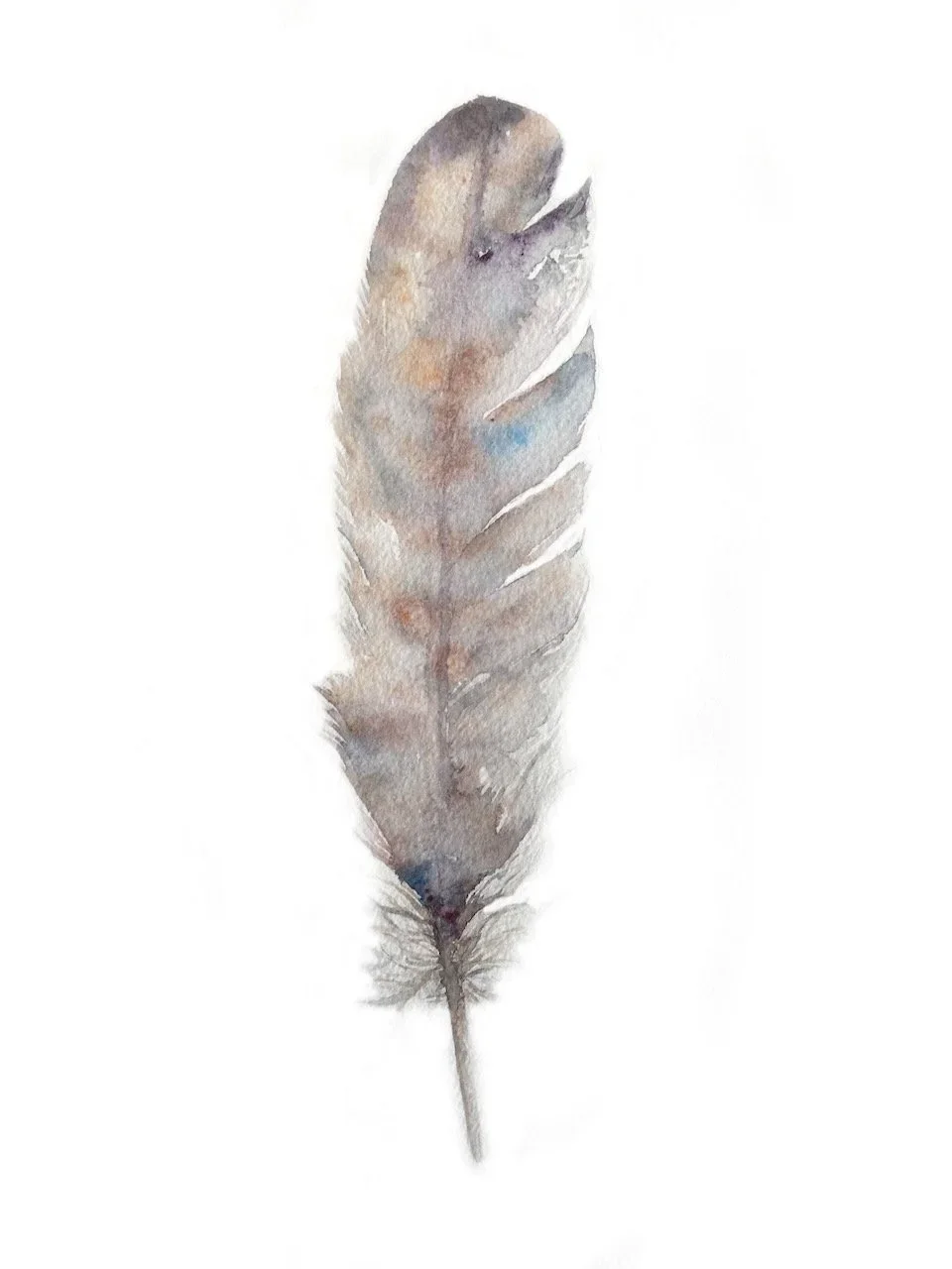 feather.webp