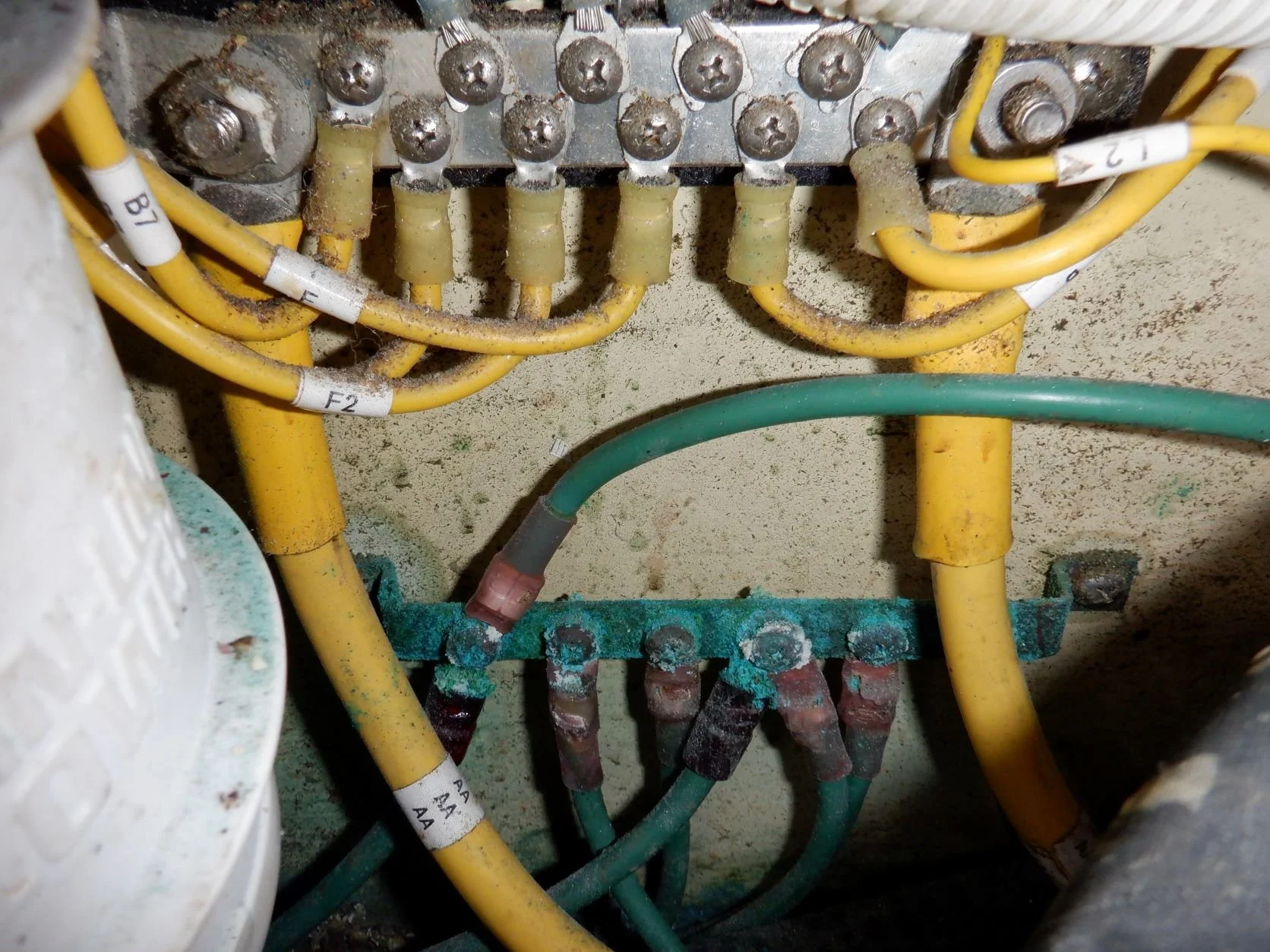 Keep Your Bonding System Healthy