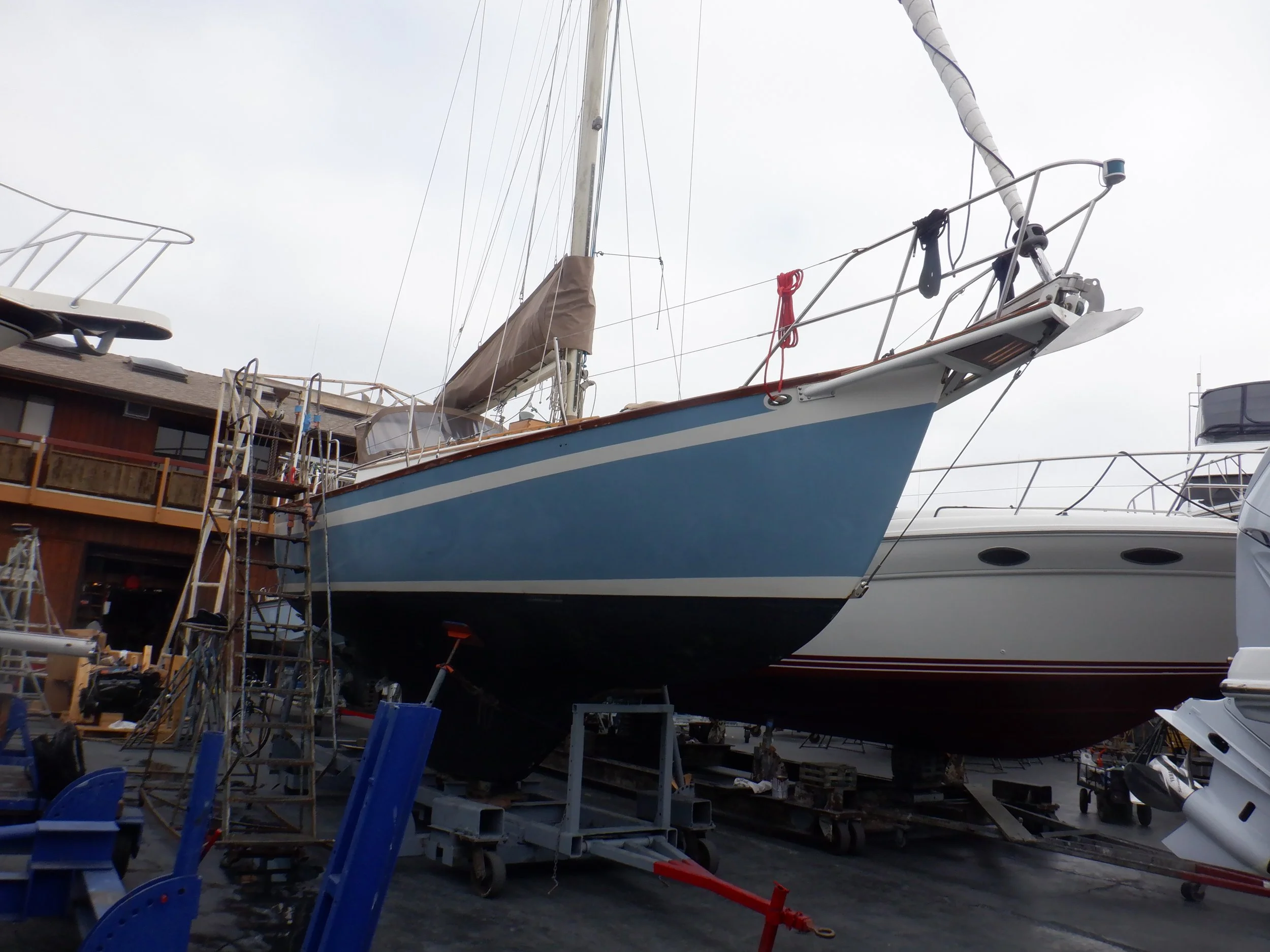 Alajuela 33 Insurance Survey, San Diego