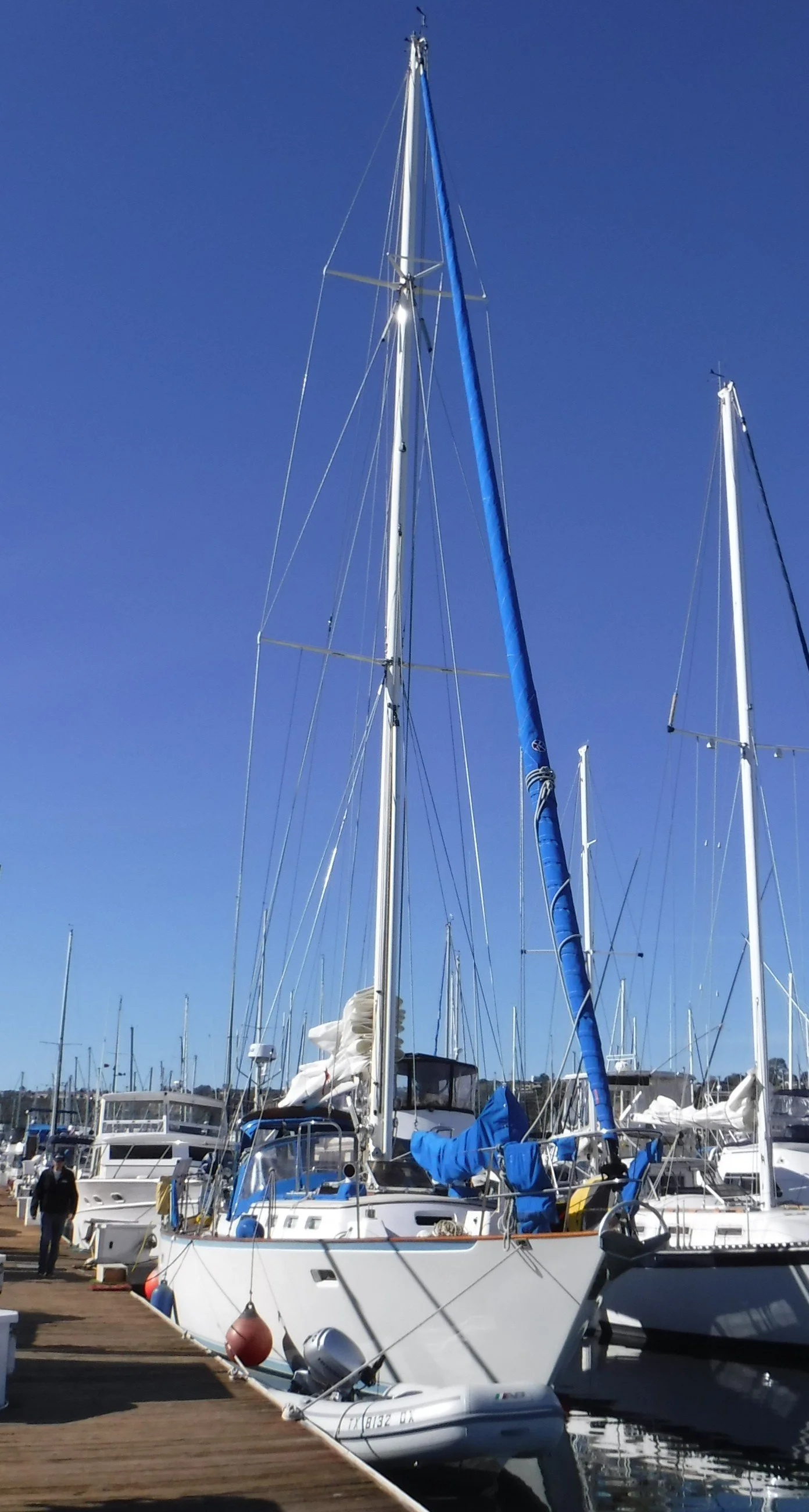 Roberts 51 Insurance Survey, San Diego