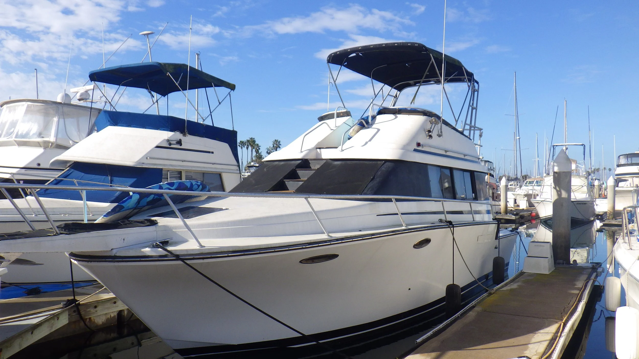 Luhrs 32 Insurance Survey, San Diego