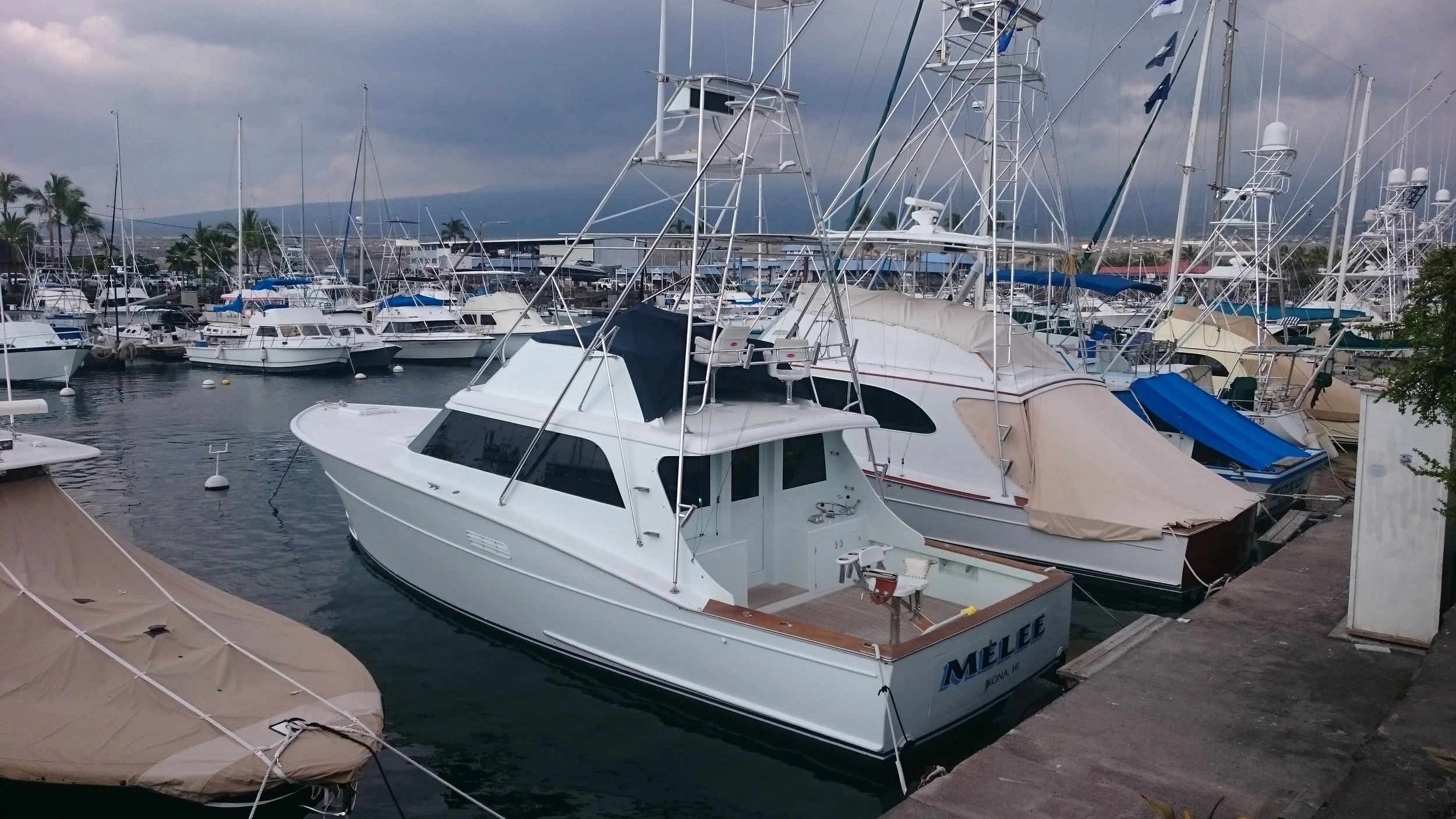 Allied 43 Insurance Survey. Kona Hawaii