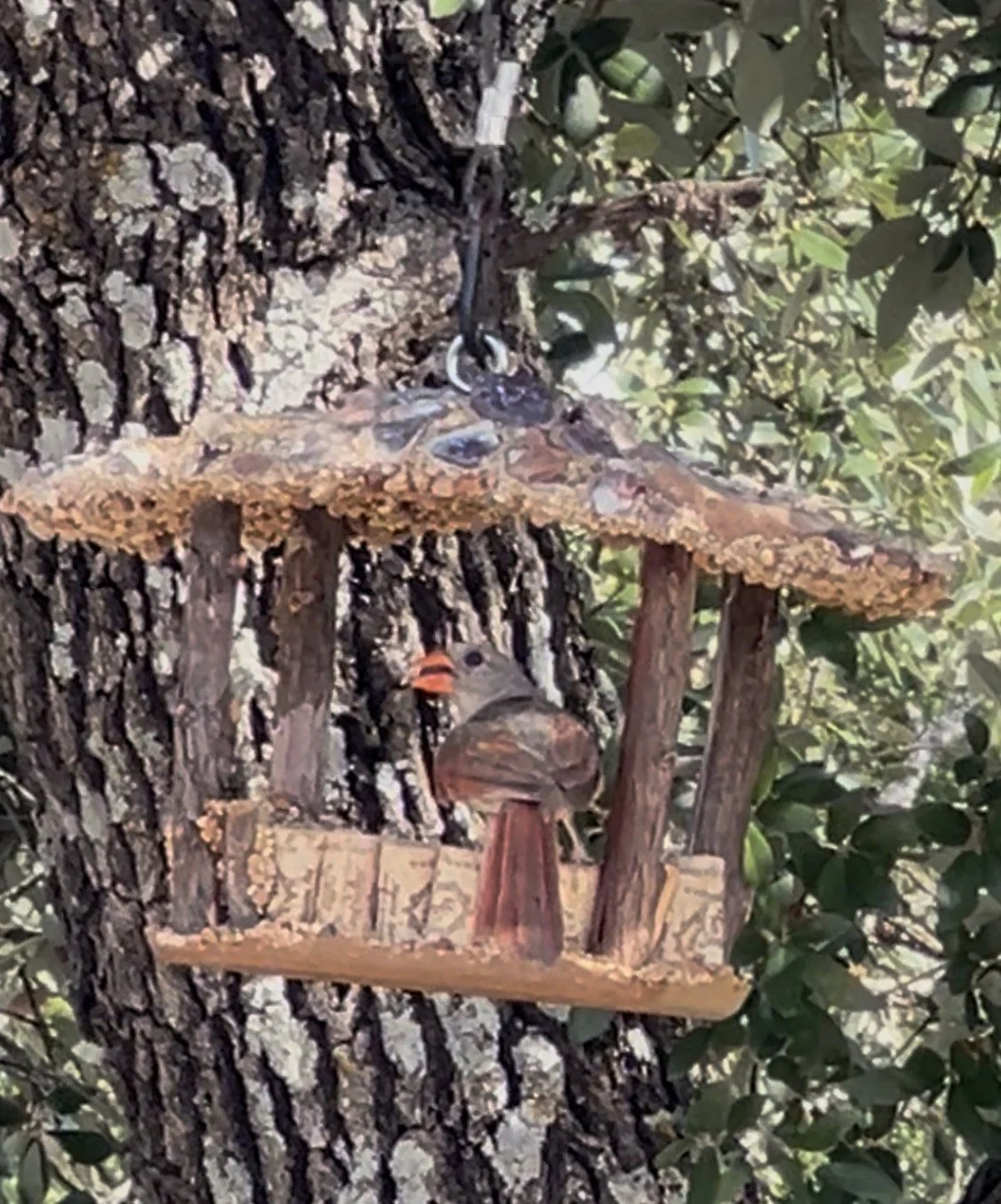 Cabana Bird Feeder