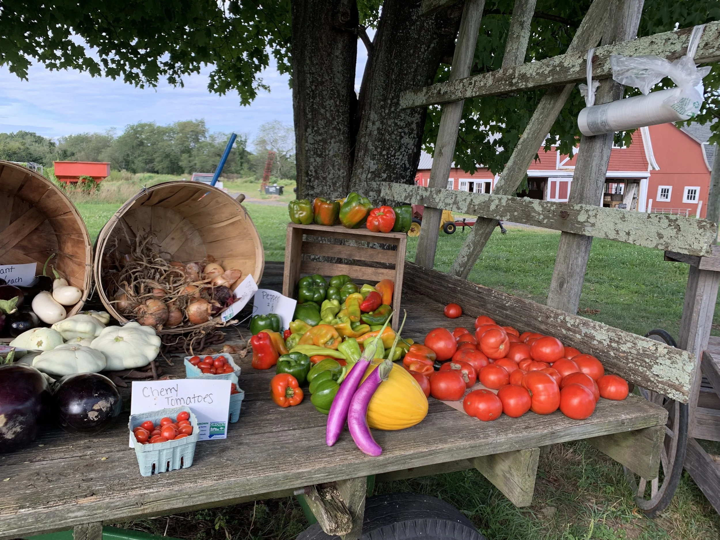 Fresh vegetables including tomatoes, bell peppers, eggplant, and yellow squash displayed on a rustic outdoor wooden table at a farm stand with a barn in the background.
