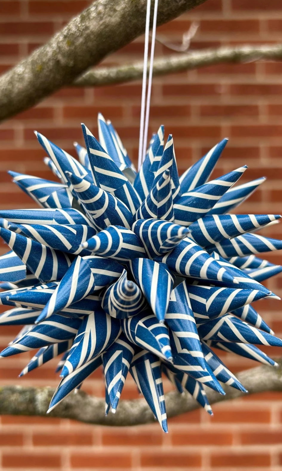 Holiday Star.png