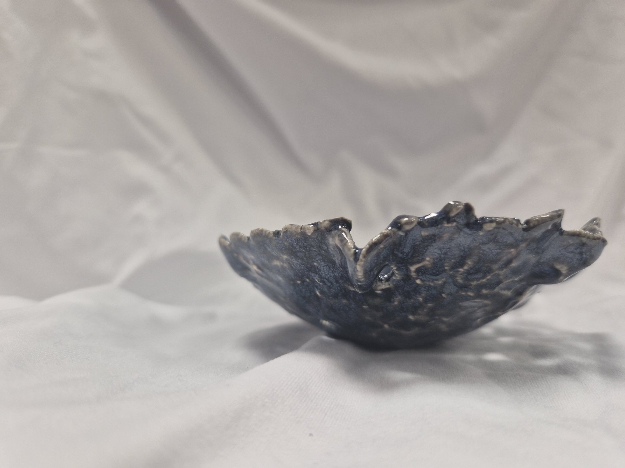 shell ceramic 2.jpg