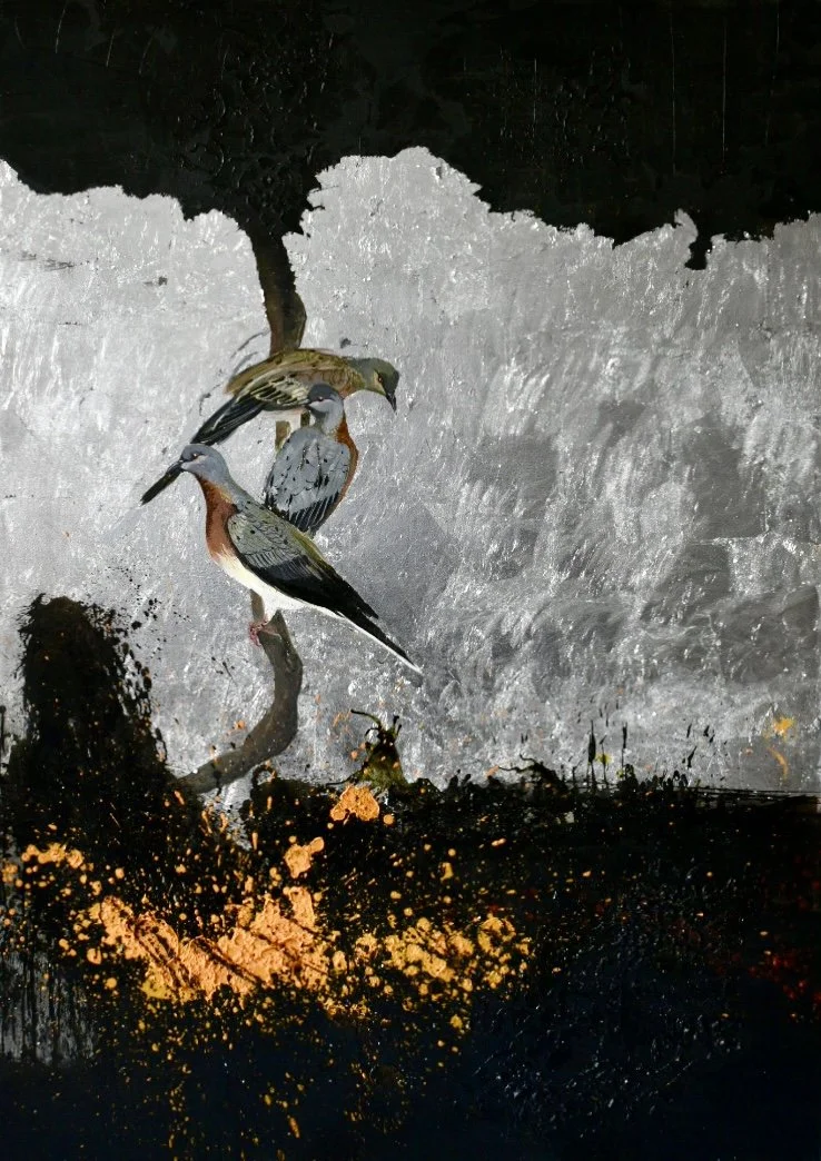 Gaby Roter - Germany - "The Mystery of the Pigeon"
