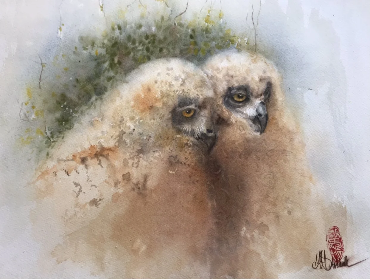 Marie-Hele Stokkink - Netehrlands - "two young eagle owls.-watercolorpainting 65x50cm"