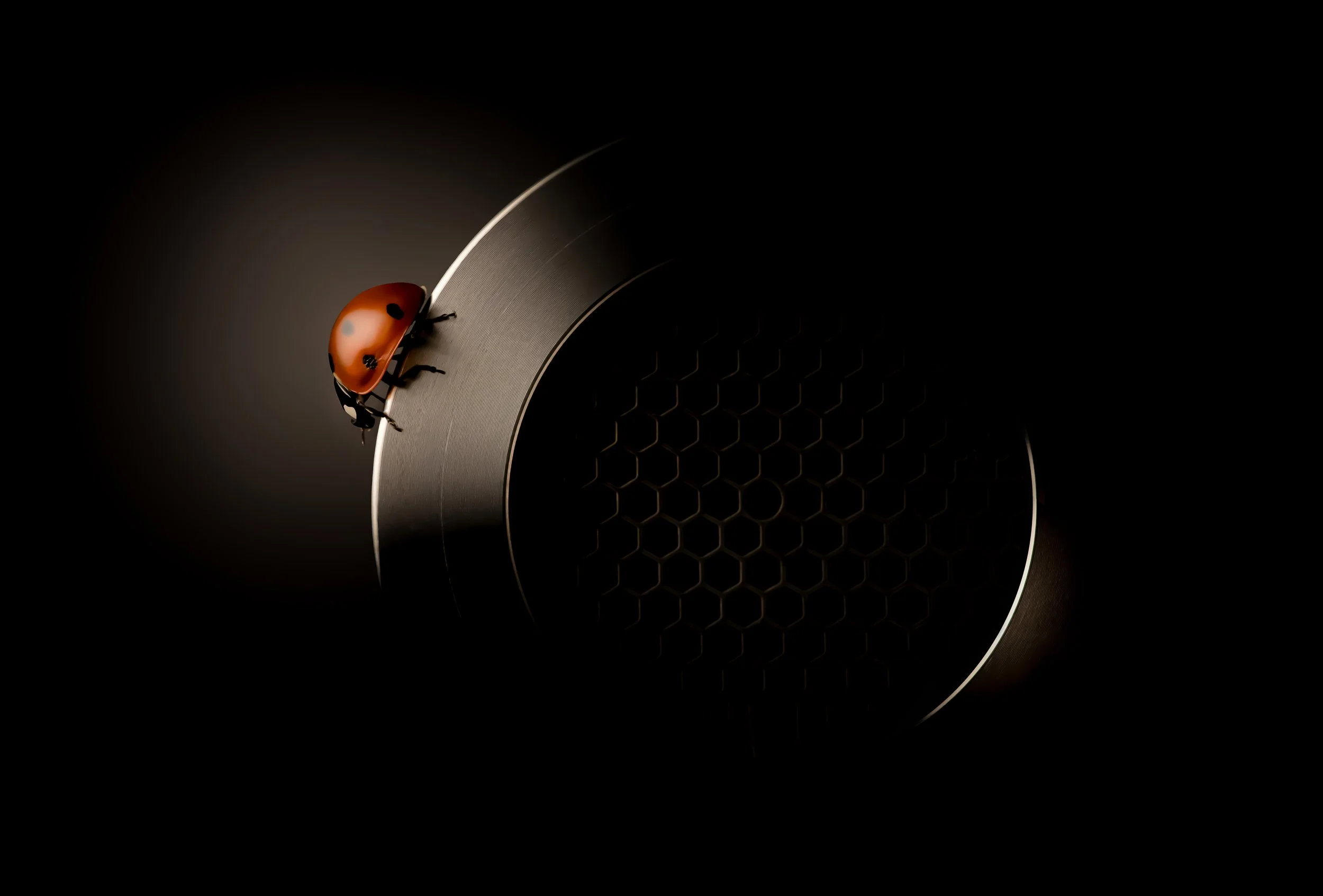 Adam Neuba - Germany - "Lost in Space"