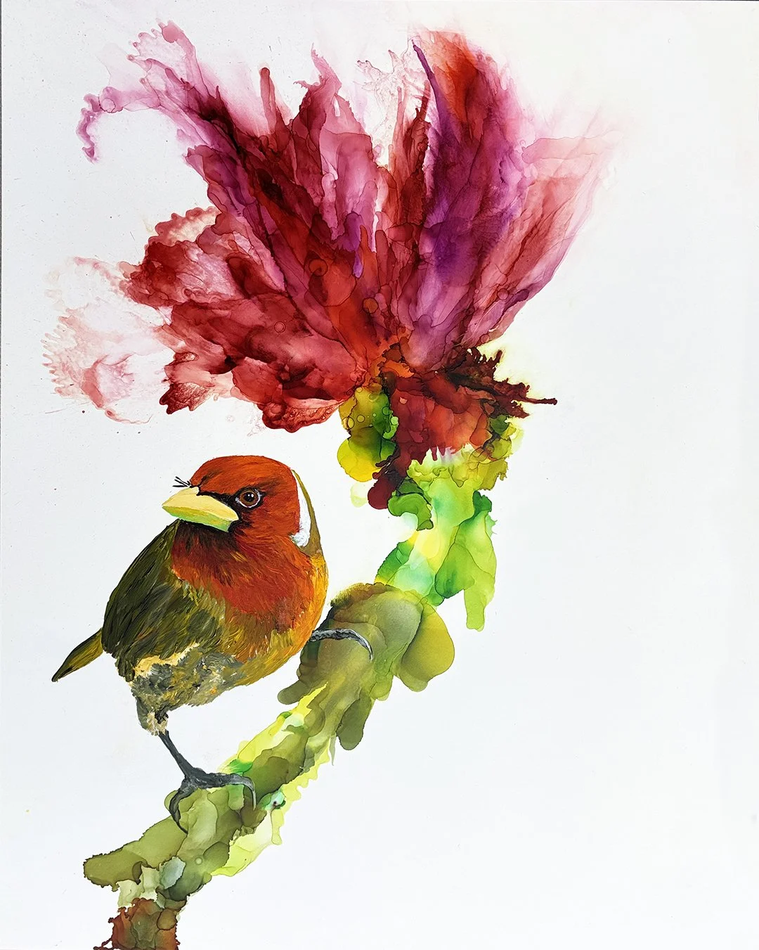 Jennifer Bain - United States - "Tropic"