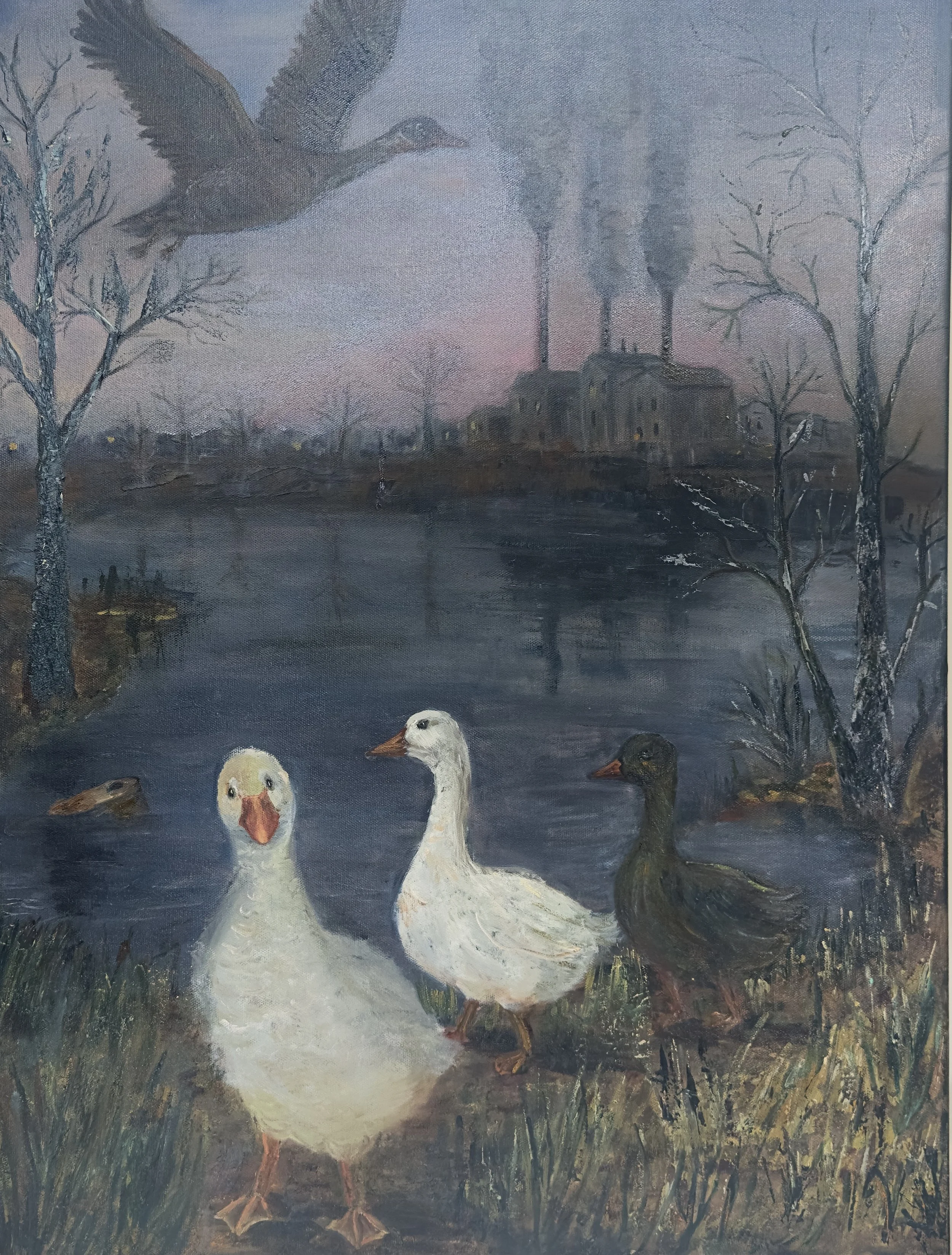 Olga Minasyan - United Kingdom - "Whose enviroment is it?"