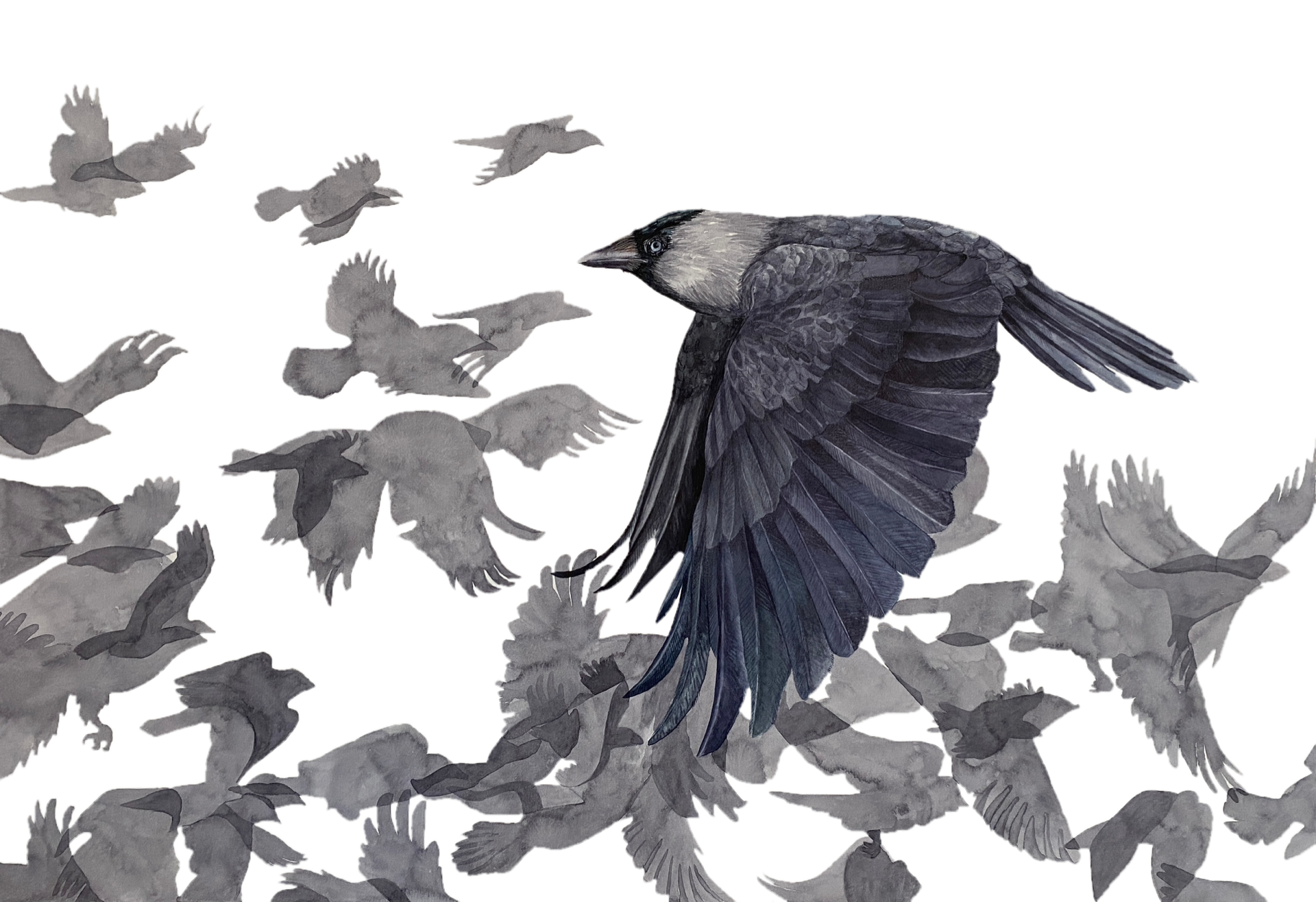 Caitlin Taylor - Scotland - Booth A08