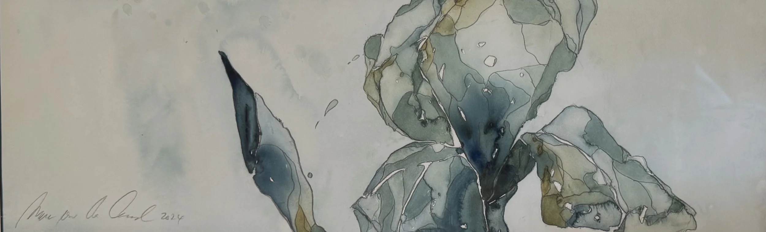 Marc van der Leeden - United States - "IRIS STUDY #1"