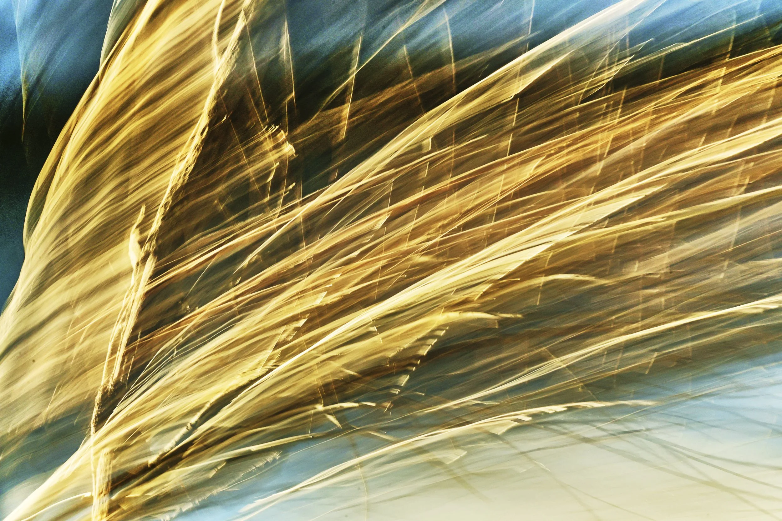 Hubert Endl - Austria - "The Wind Writes"