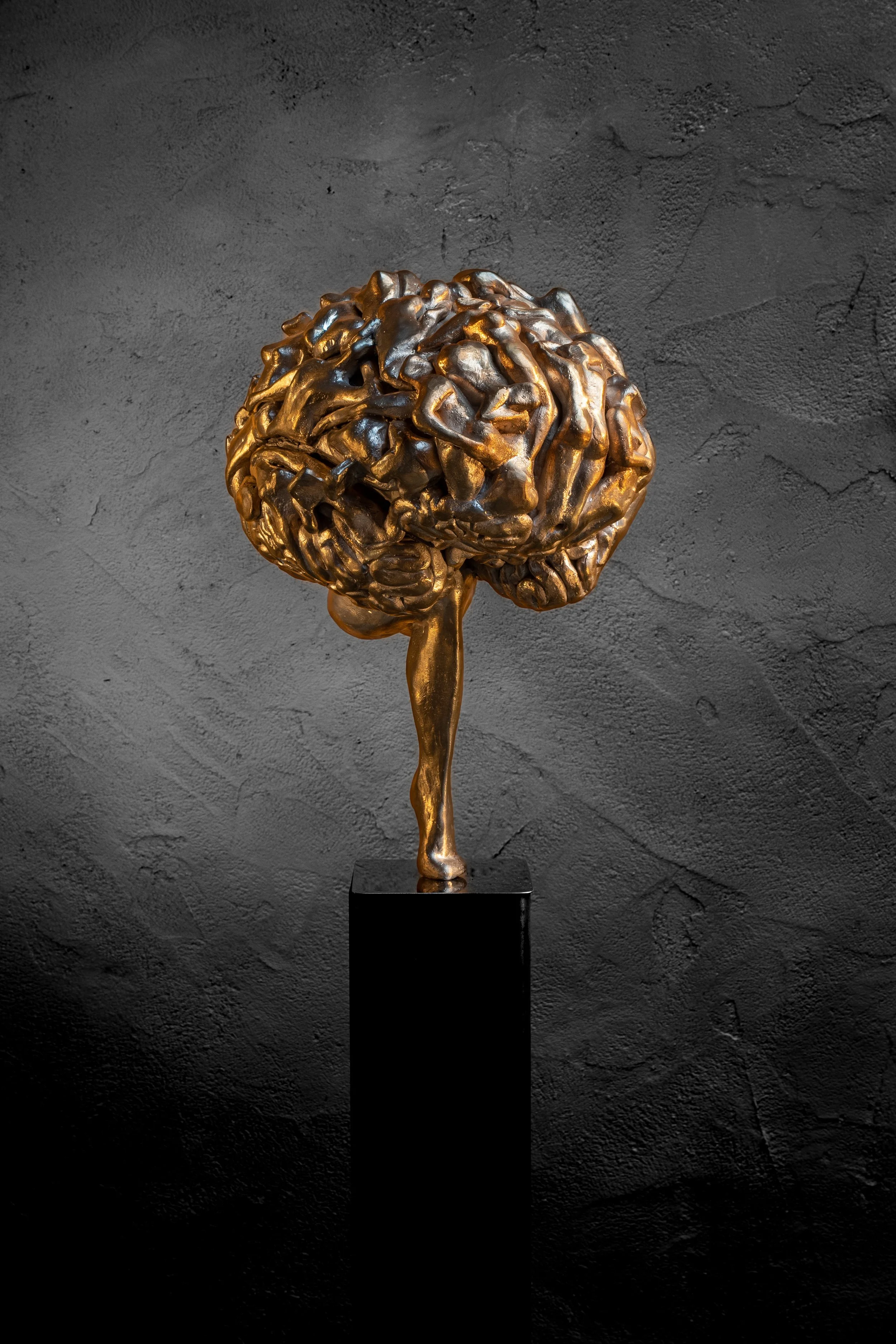 Mie Bogaerts - Belgium - "Brainstorm"