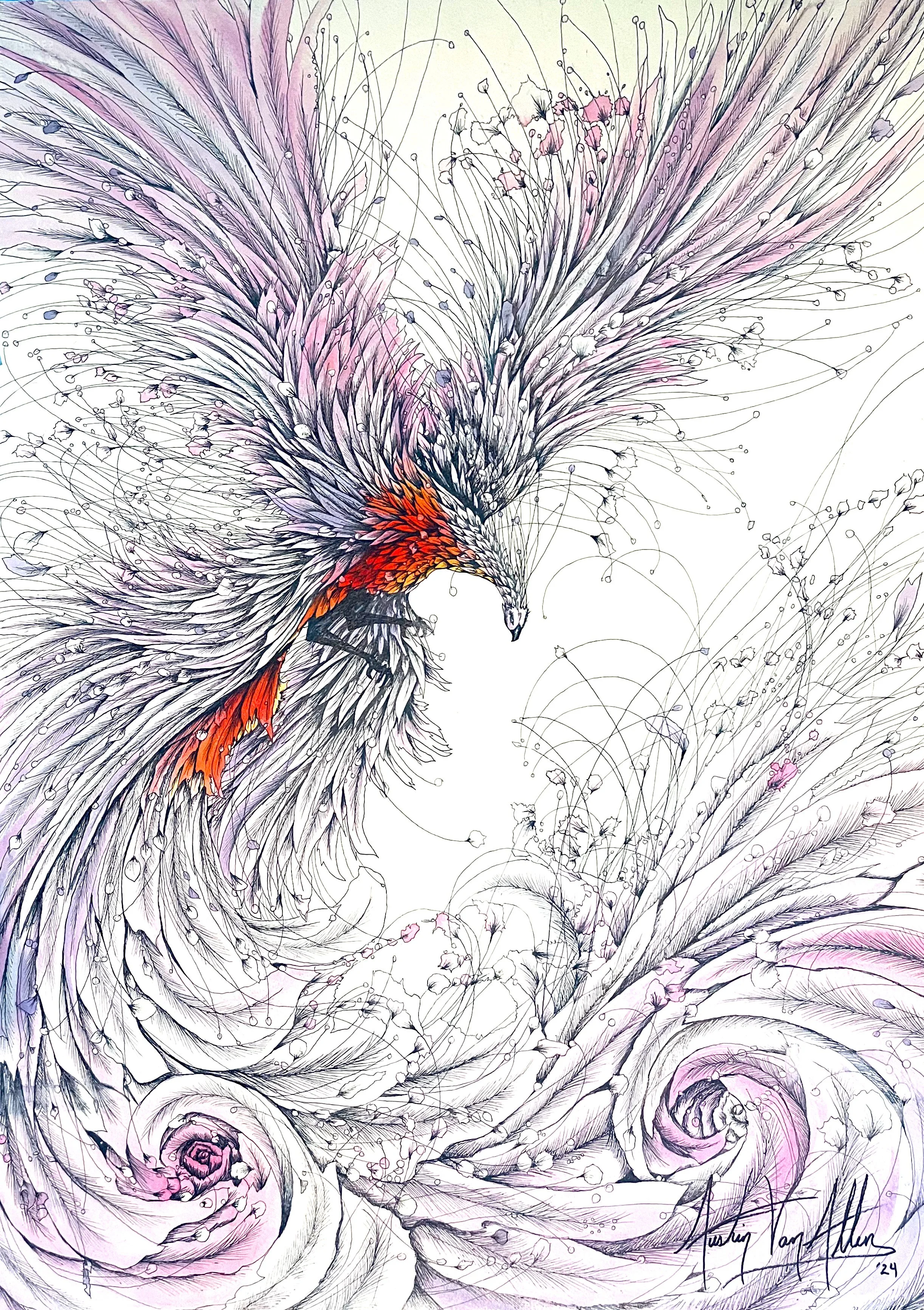 Austin Van Allen - United States - "Seraphim"