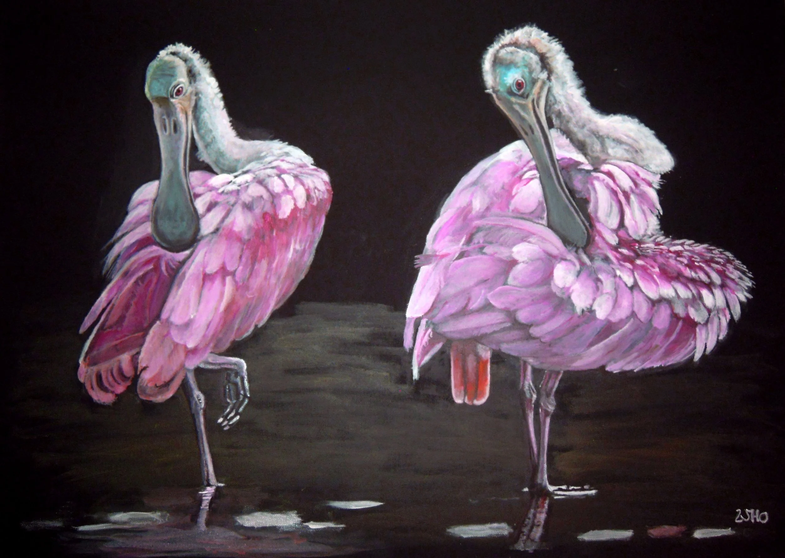 Dr Sylvia Kölbl - Austria - "Pink rhapsody"