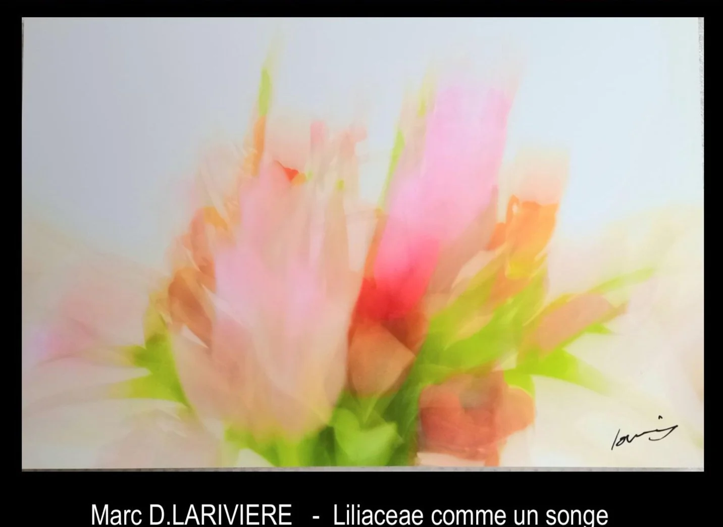 Marc D.Lariviere - France - "Liliaceae like a dream"