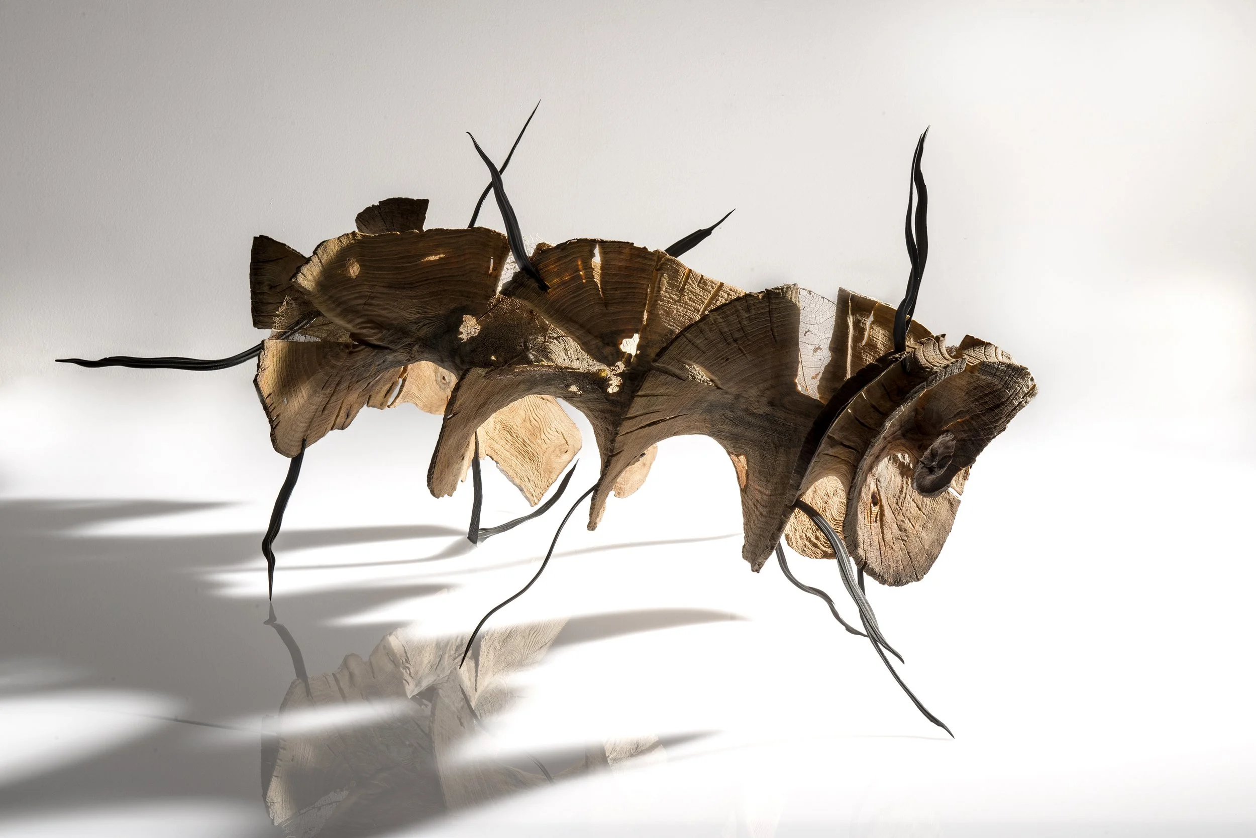 Jeannette M Rein - Australia - "Volute"
