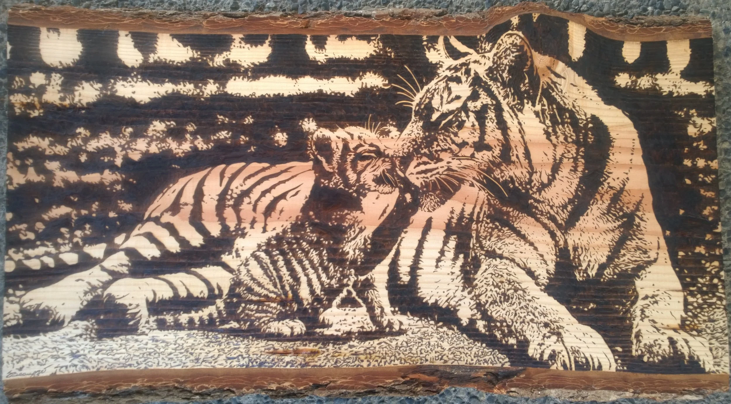 Scott Beaupre - Canada - "Mother Tiger and Cub (Method: Pyrography)"