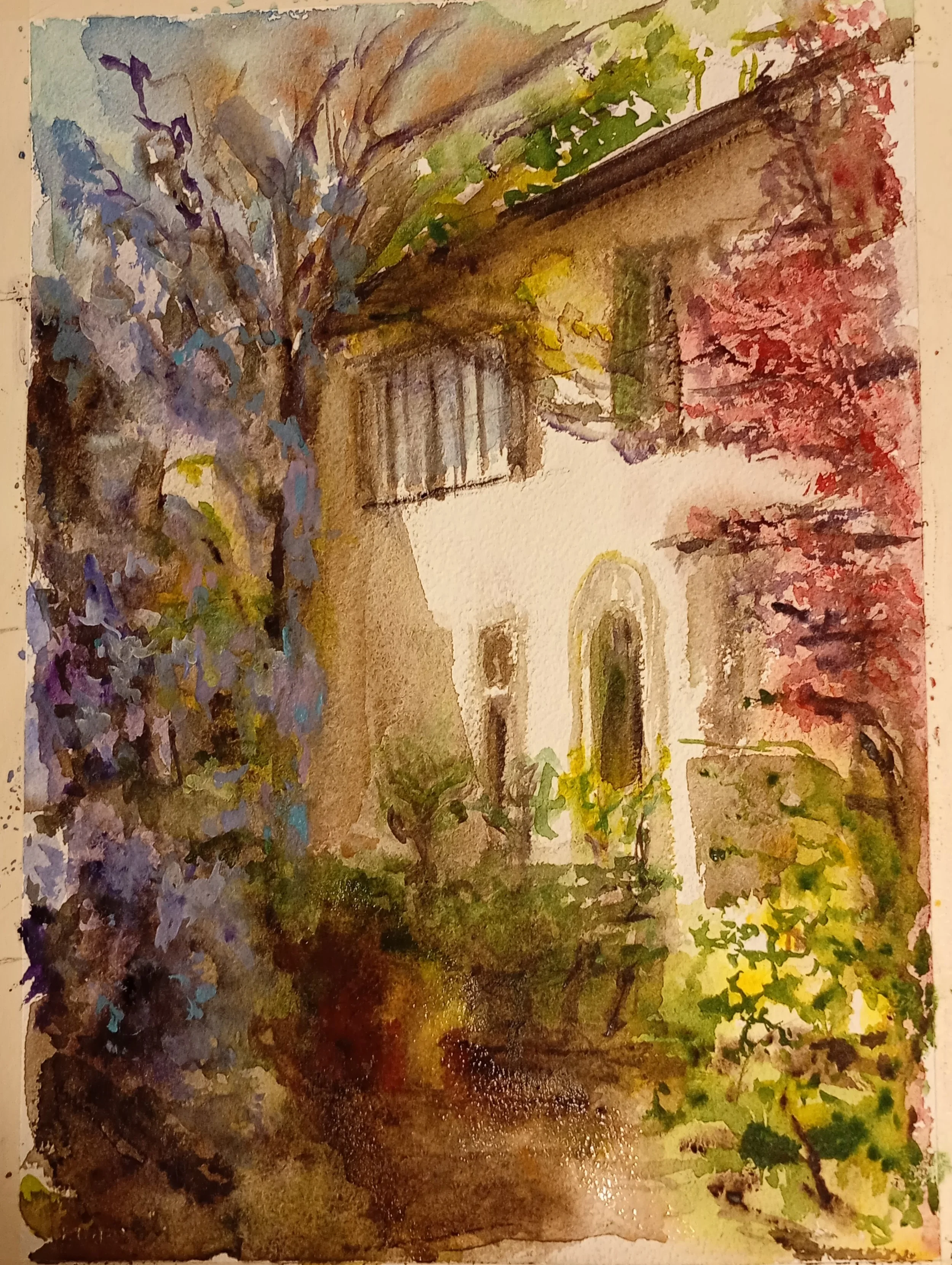 Debora Ferruzzi - Italia - "Ascoltando in silenzio"