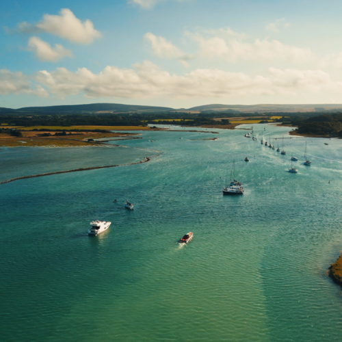 Luxury private powerboat in newtown creek seal colony  isle of wight  charter from Lymington