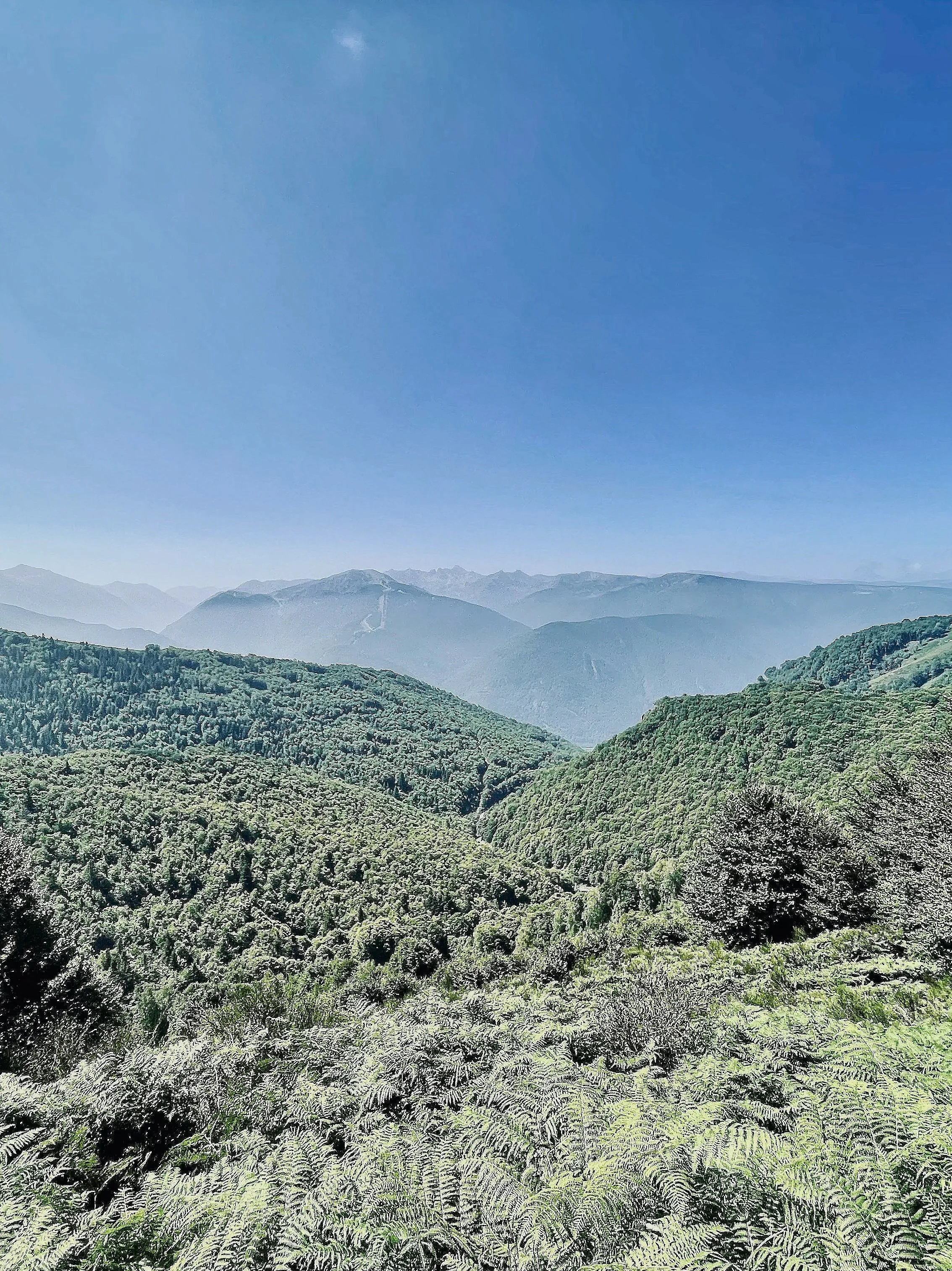Paysage de montagnes verdoyantes sous un ciel bleu clair.