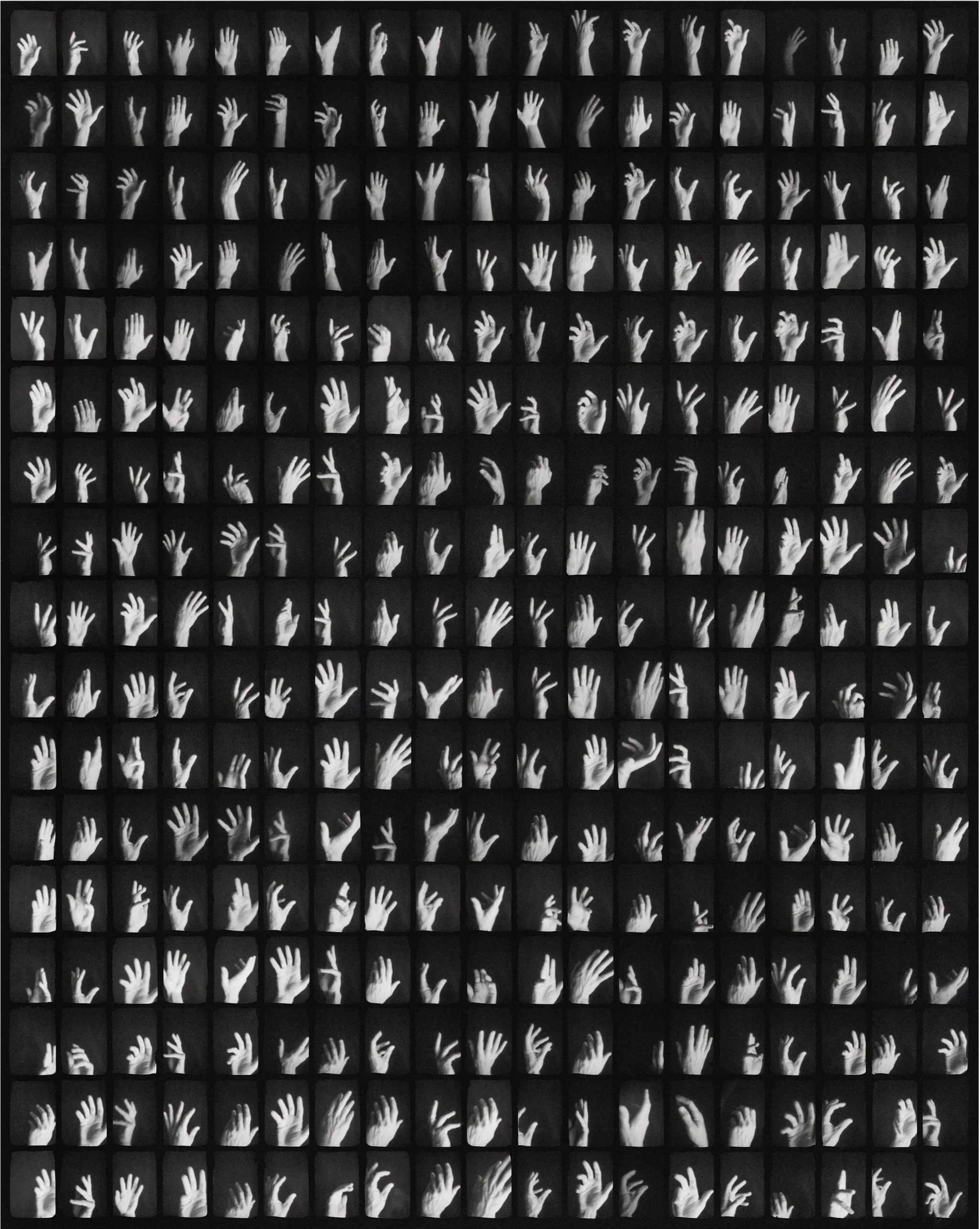 323-3
scanned negative  2025
photograph made on one sheet of 4x5 film using an artist-made 323 aperture pinhole camera