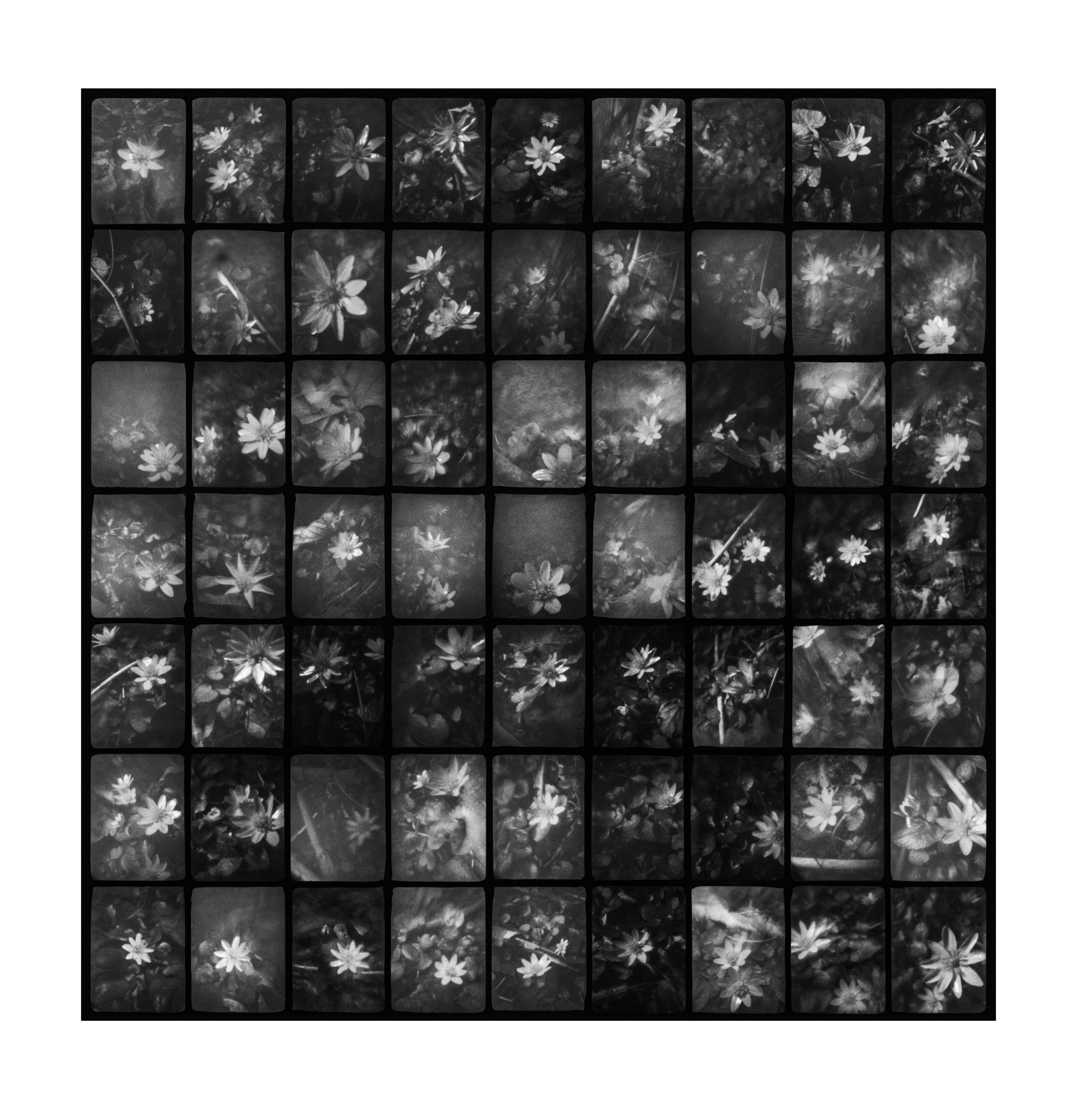 63-1
scanned negative 
photograph made on one sheet of 4x5 film using an artist-made 63 aperture pinhole camera