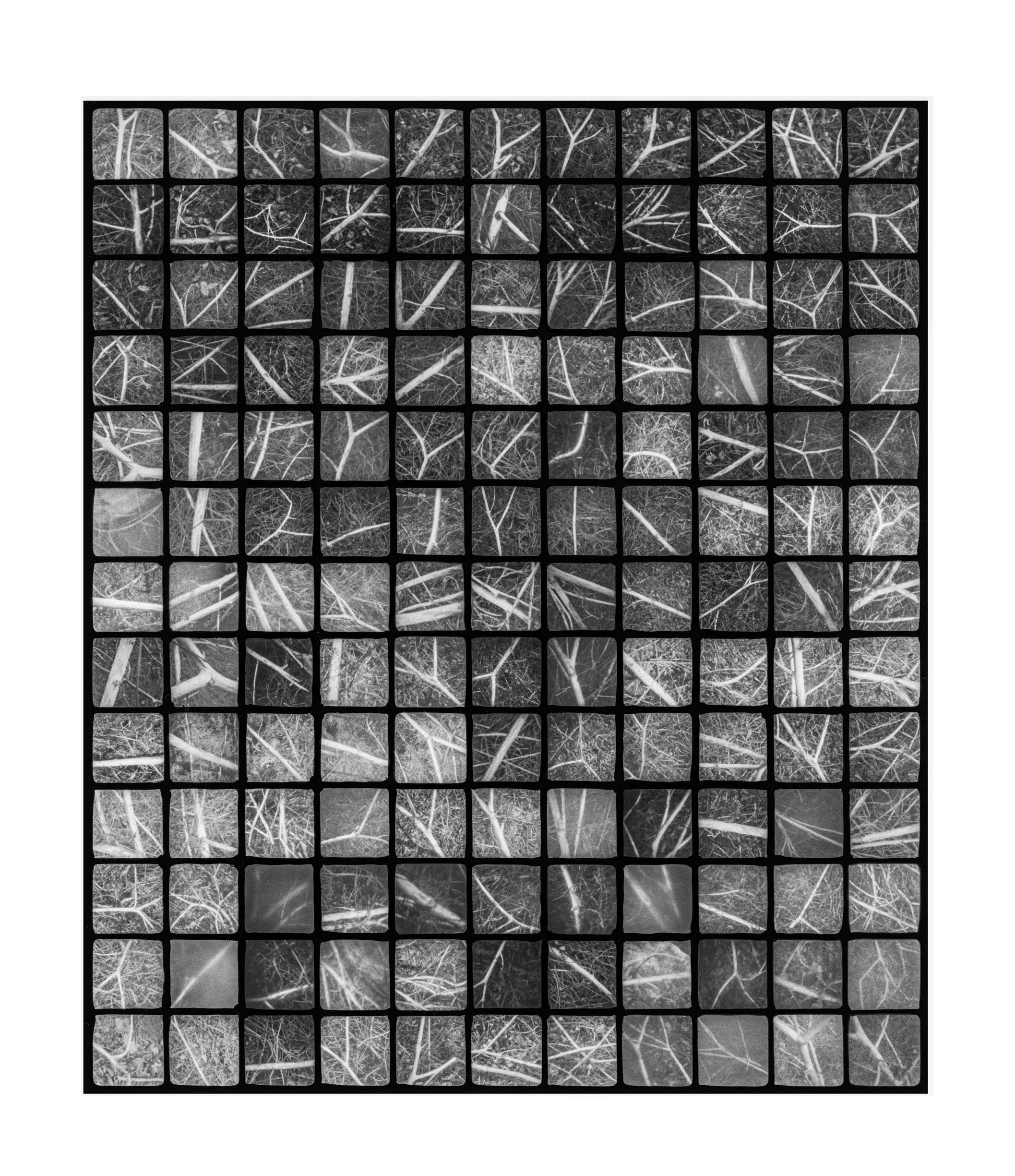 143
scanned negative  2025
photograph made on one sheet of 4x5 film using an artist-made 143 aperture pinhole camera