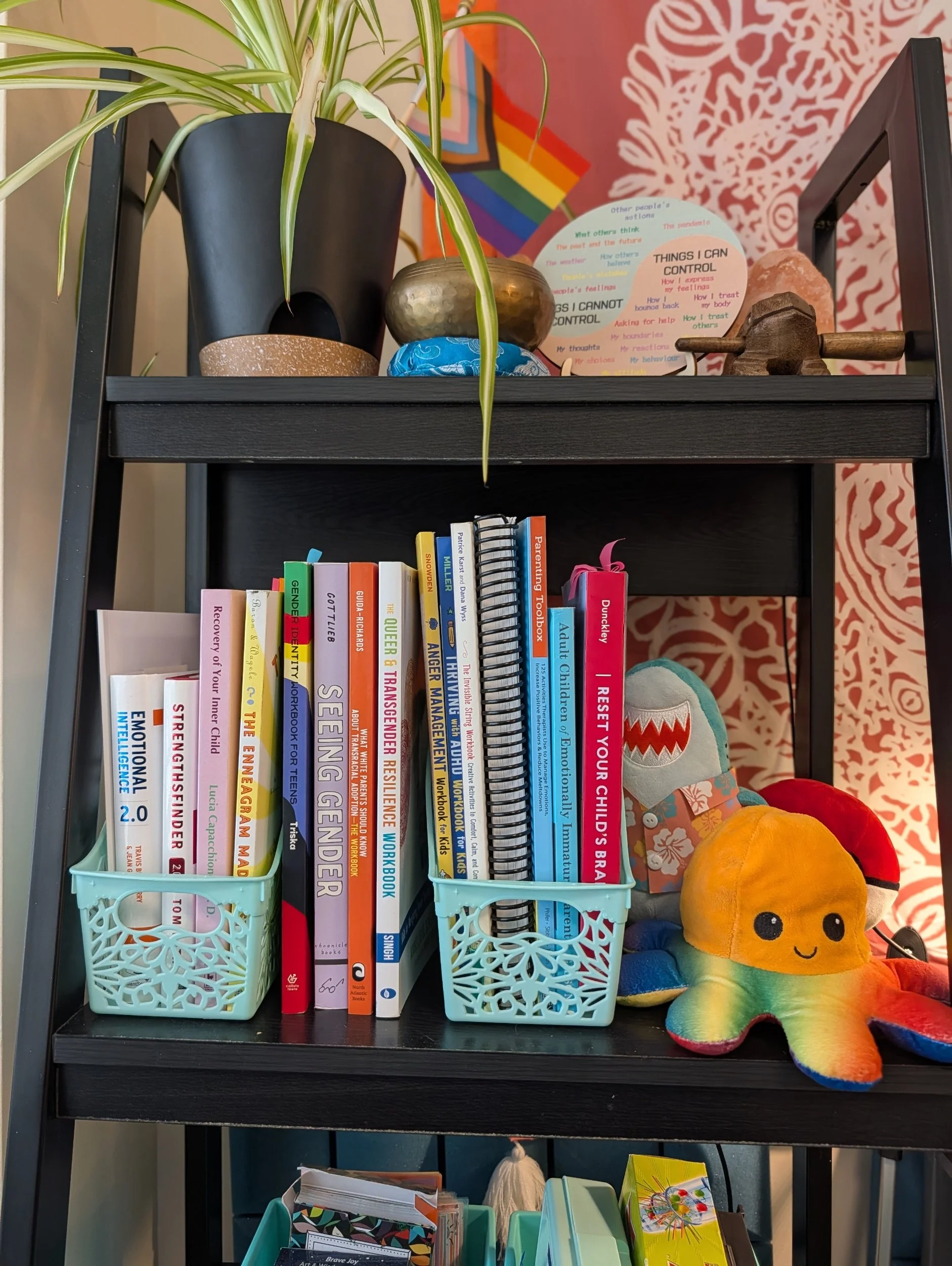 Black bookshelf with two levels. There's a potted plant, pride flag, sound bowls, a plaque about control and feelings. a collection of mental health books with colorful spines, a shark plushie in a Hawaiian shirt, and a rainbow octopus plushie.