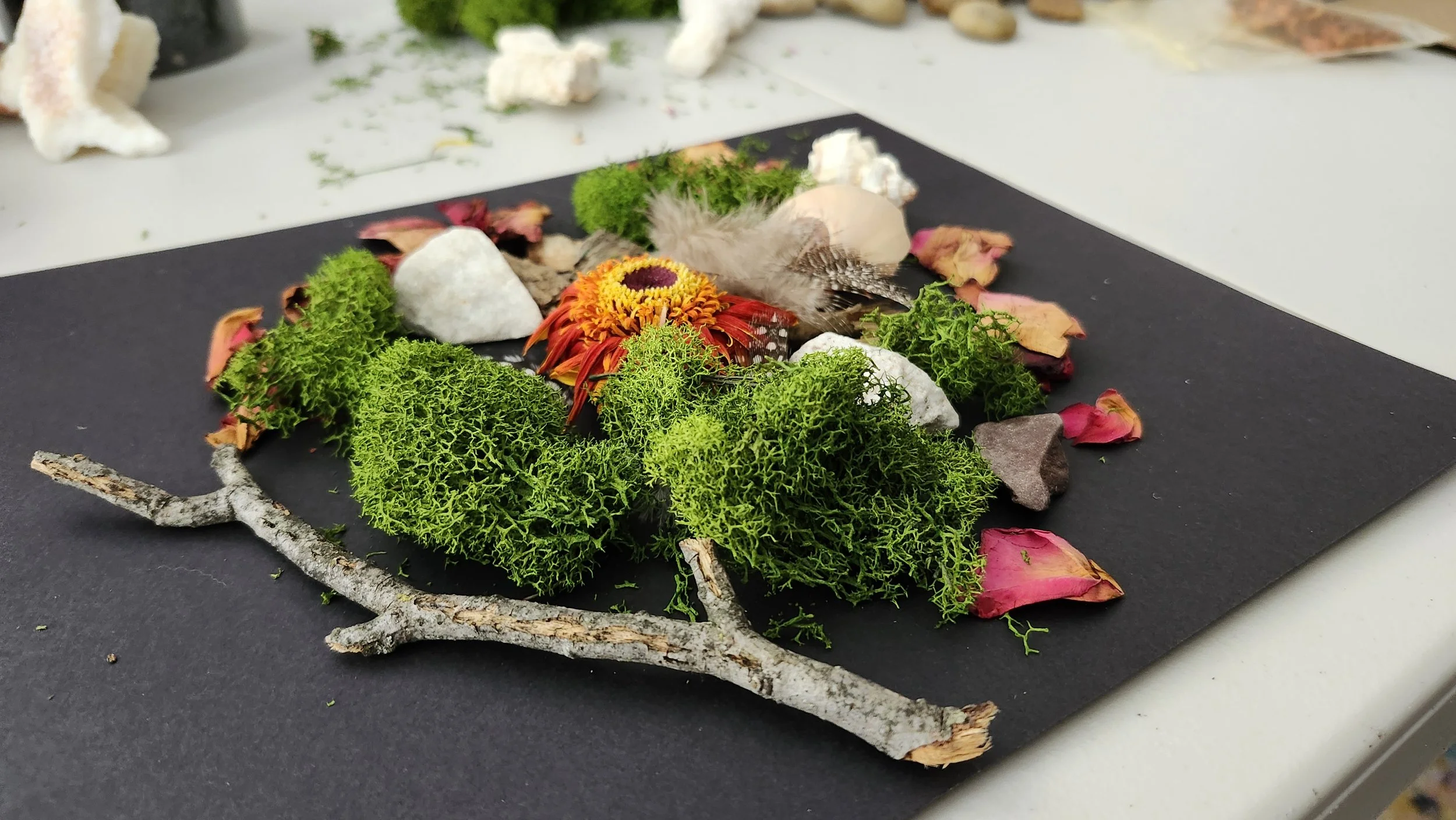 Arrangement of natural materials including green moss, a red-orange flower, white stones, dried rose petals, a feather, and a small branch on a black mat.