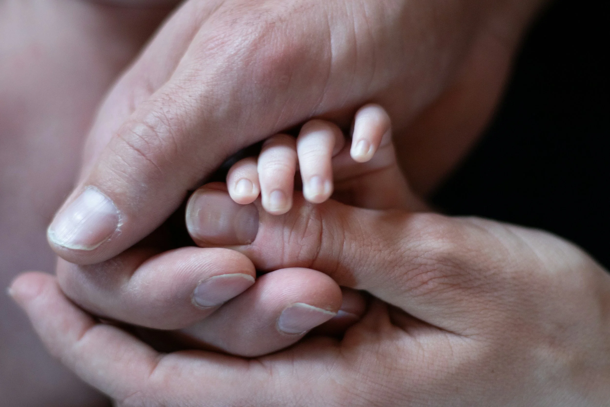 Close-up of a tiny baby's hand holding an adult's finger.