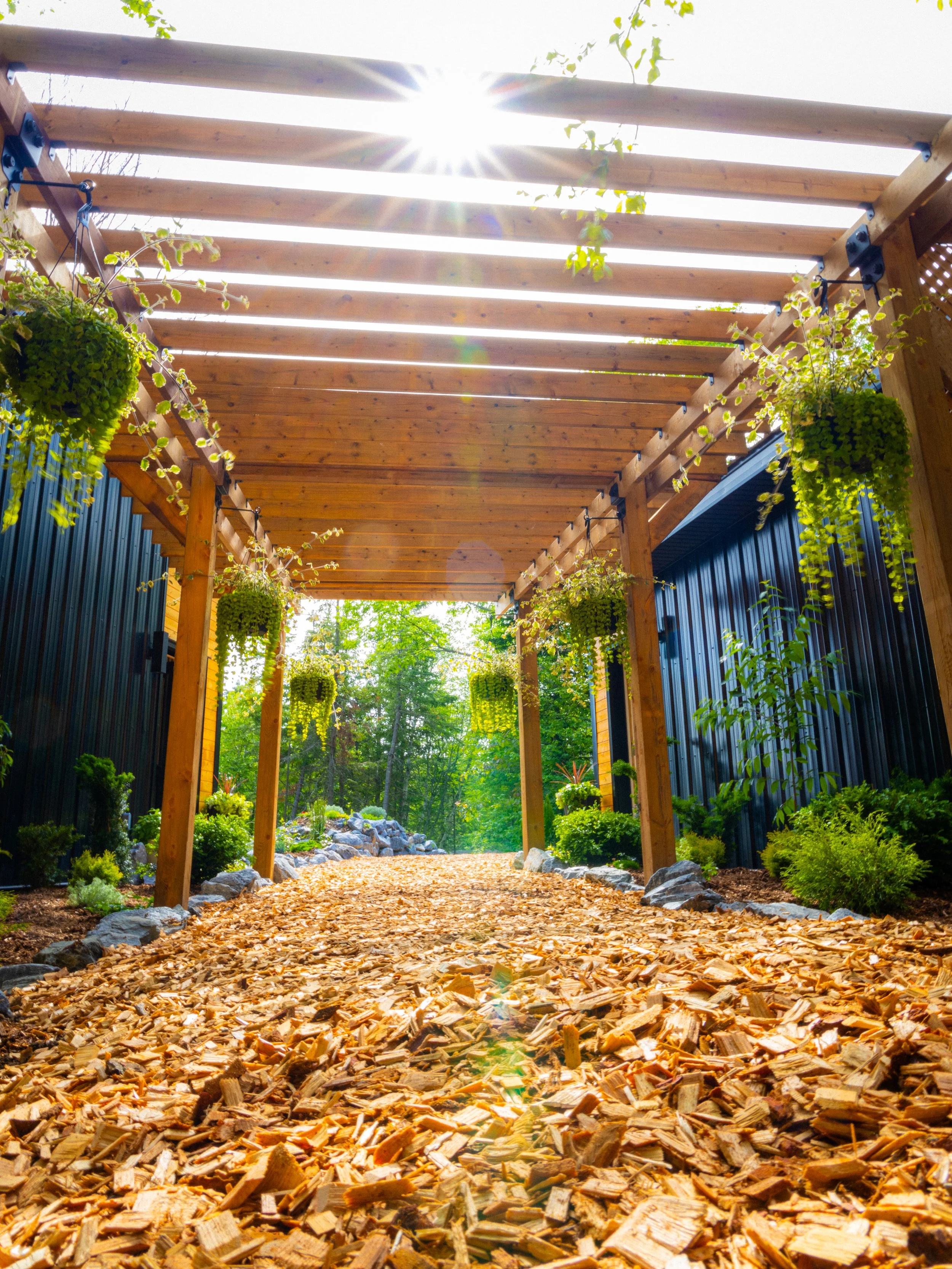 Wooden pergola with hanging plants, a leaf canopy, and a gravel pathway surrounded by greenery and rocks.