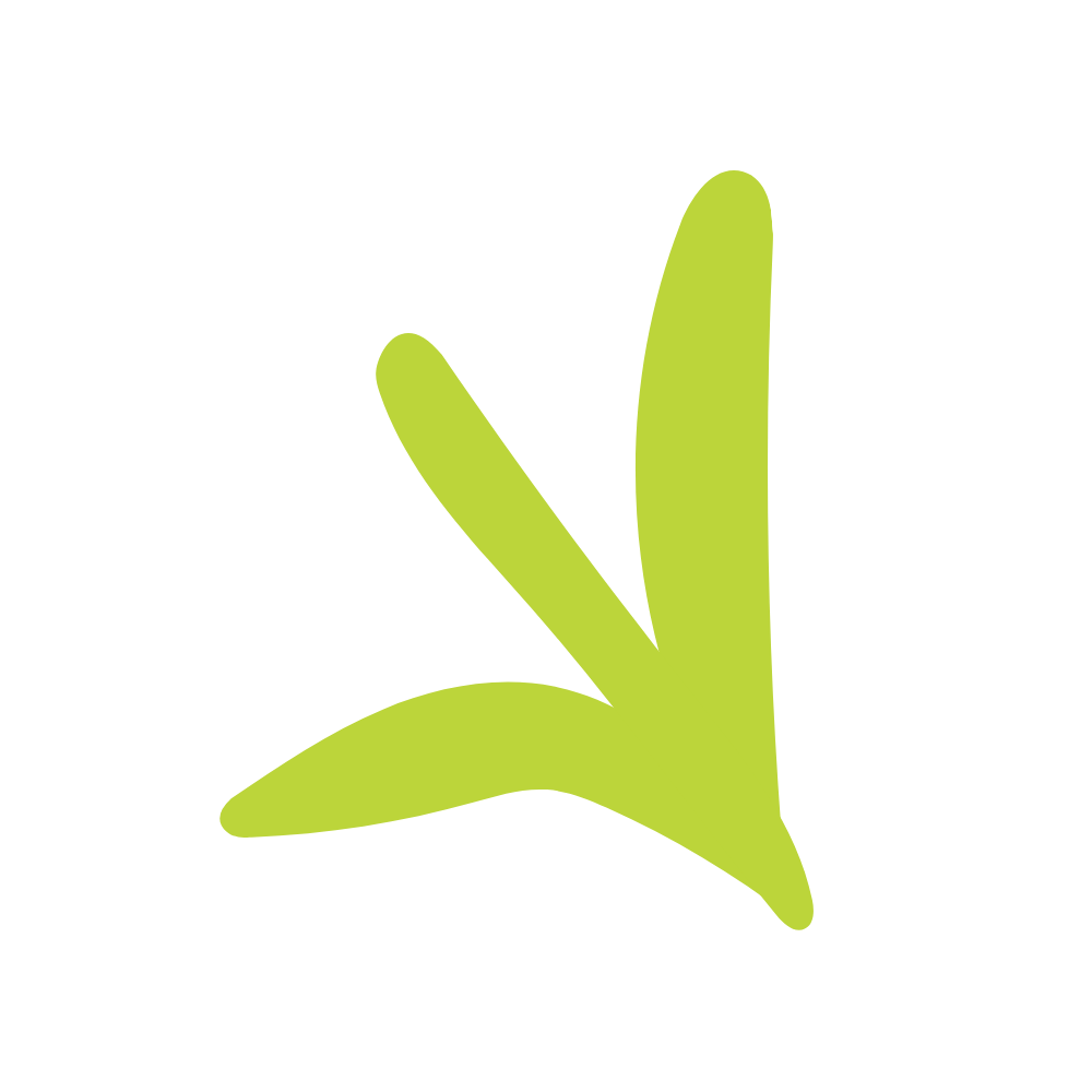 Illustration of a plant sprout.